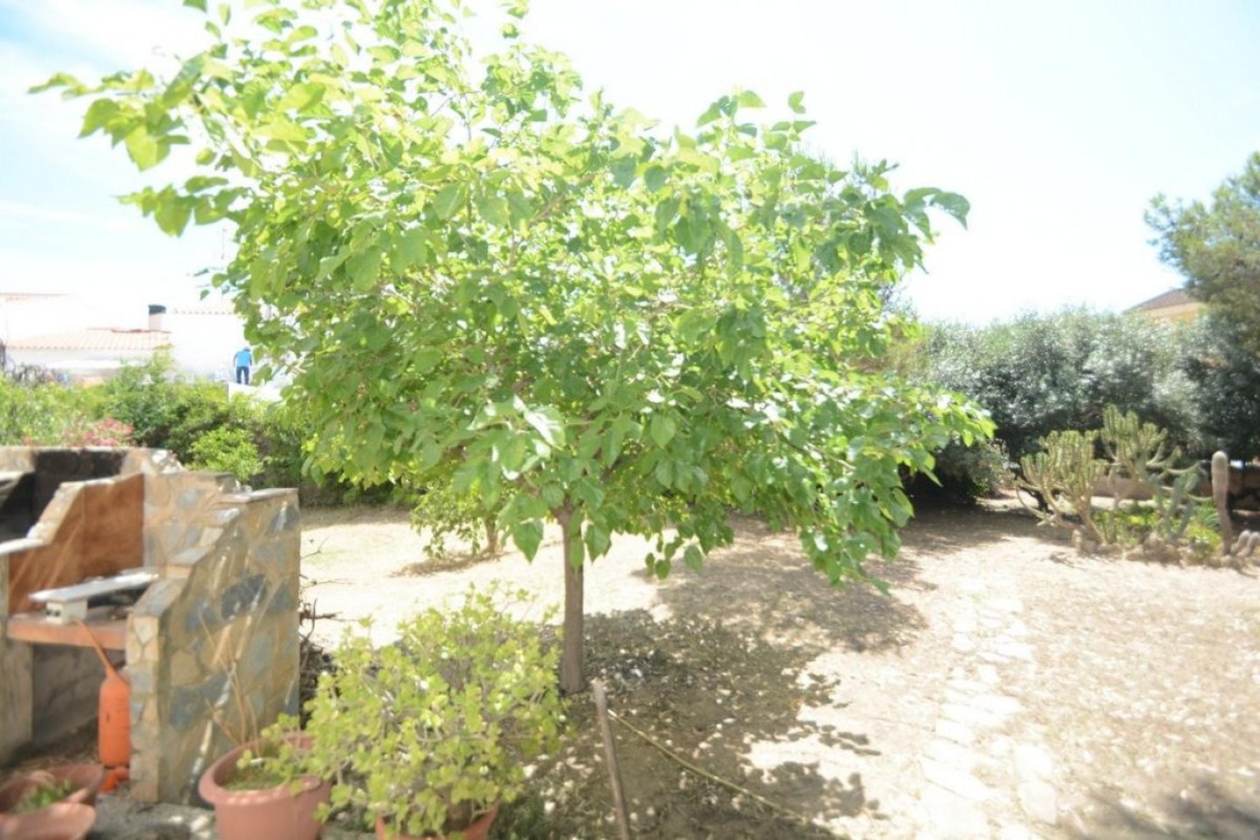 Terrain urbain de 1 000 m2. de surface sur le pèdre de la mort à Orihuela.