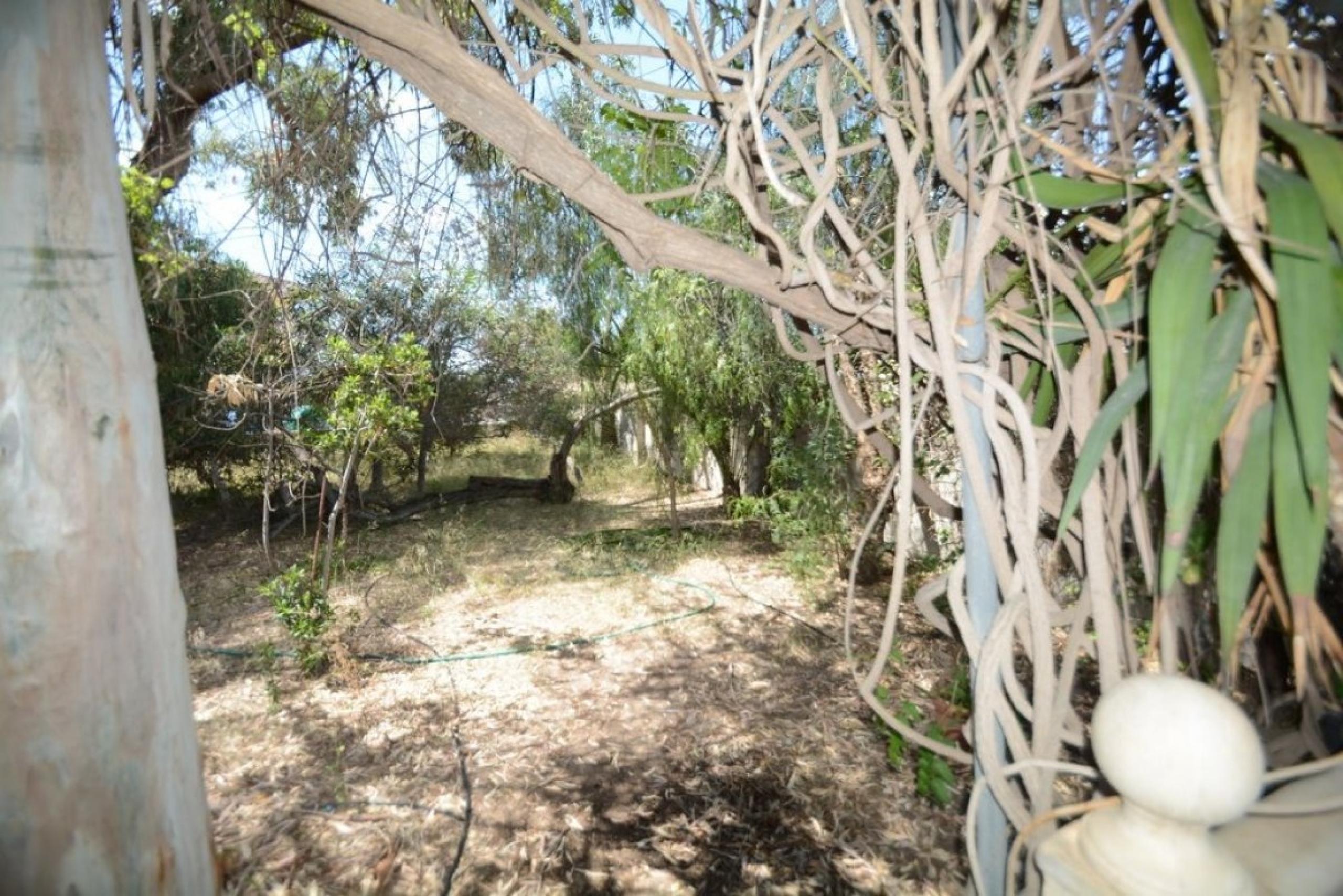 Terrain urbain de 1 000 m2. de surface sur le pèdre de la mort à Orihuela.