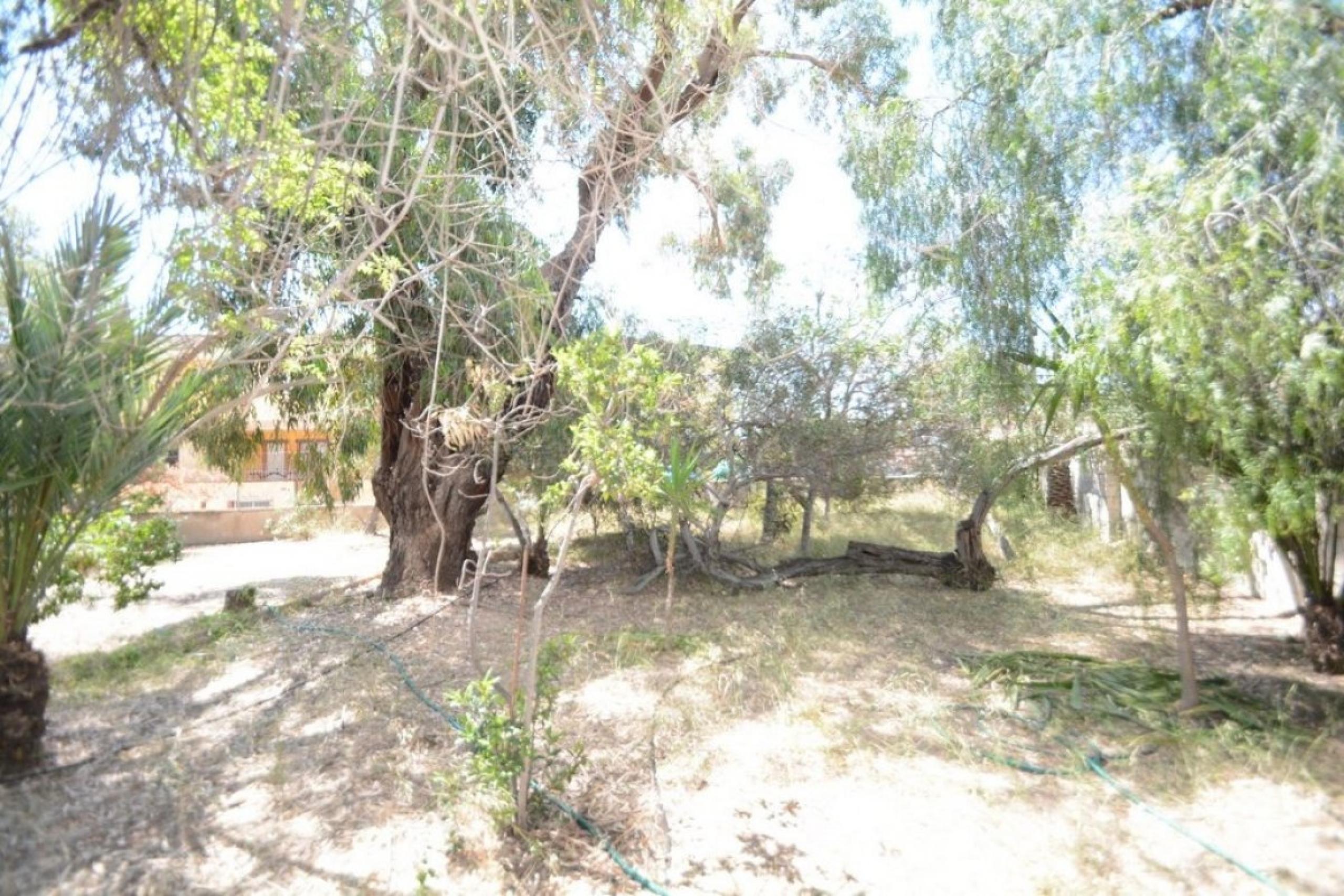 Terrain urbain de 1 000 m2. de surface sur le pèdre de la mort à Orihuela.