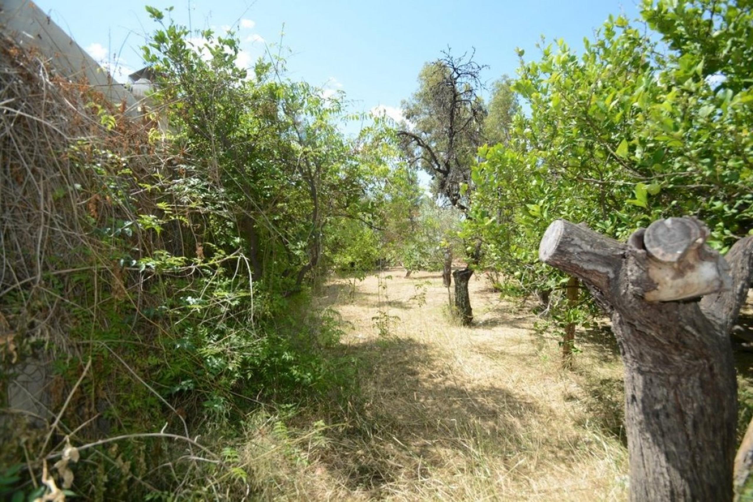 Terrain urbain de 1 000 m2. de surface sur le pèdre de la mort à Orihuela.