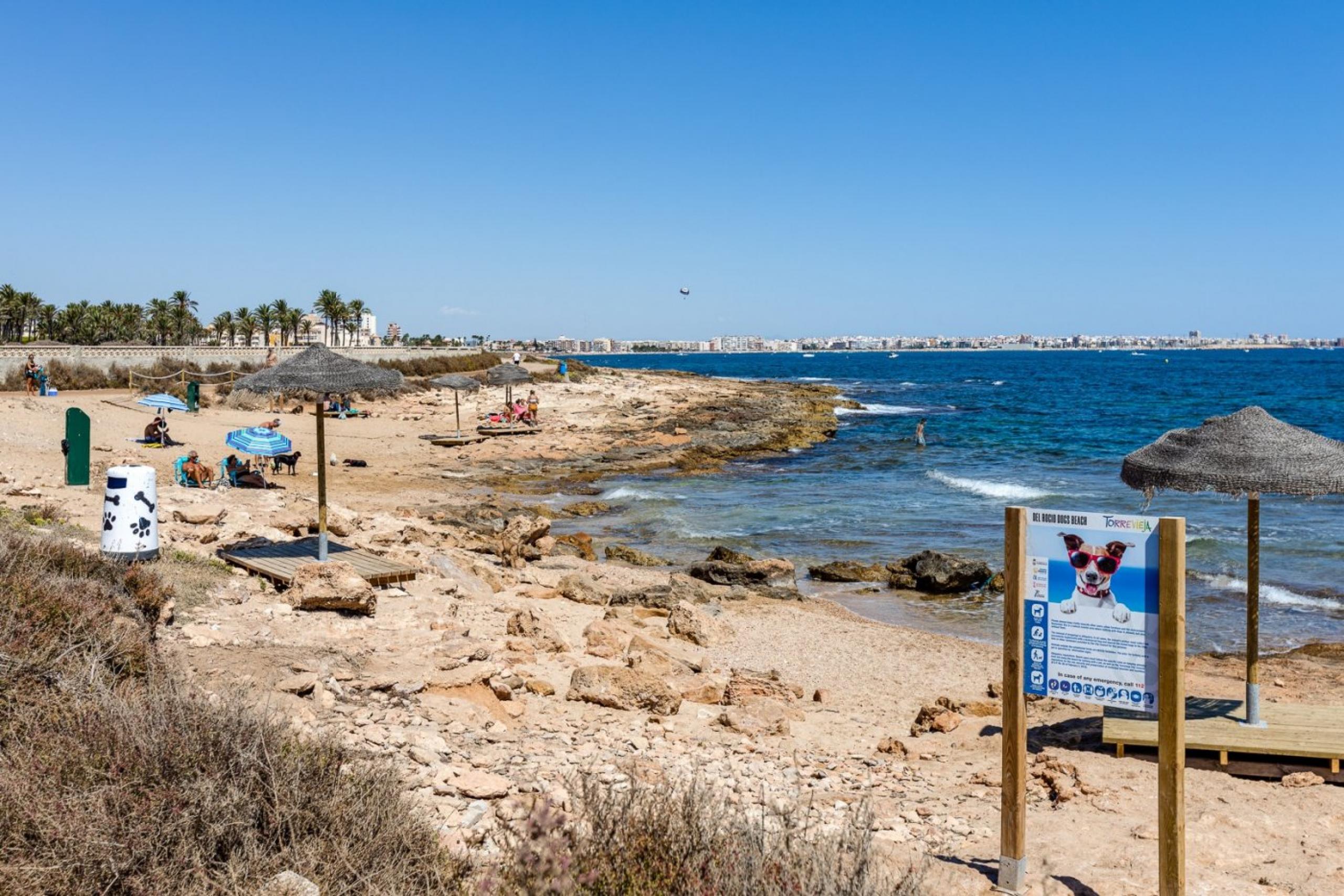 Avec Sud, la plage et la piscine!