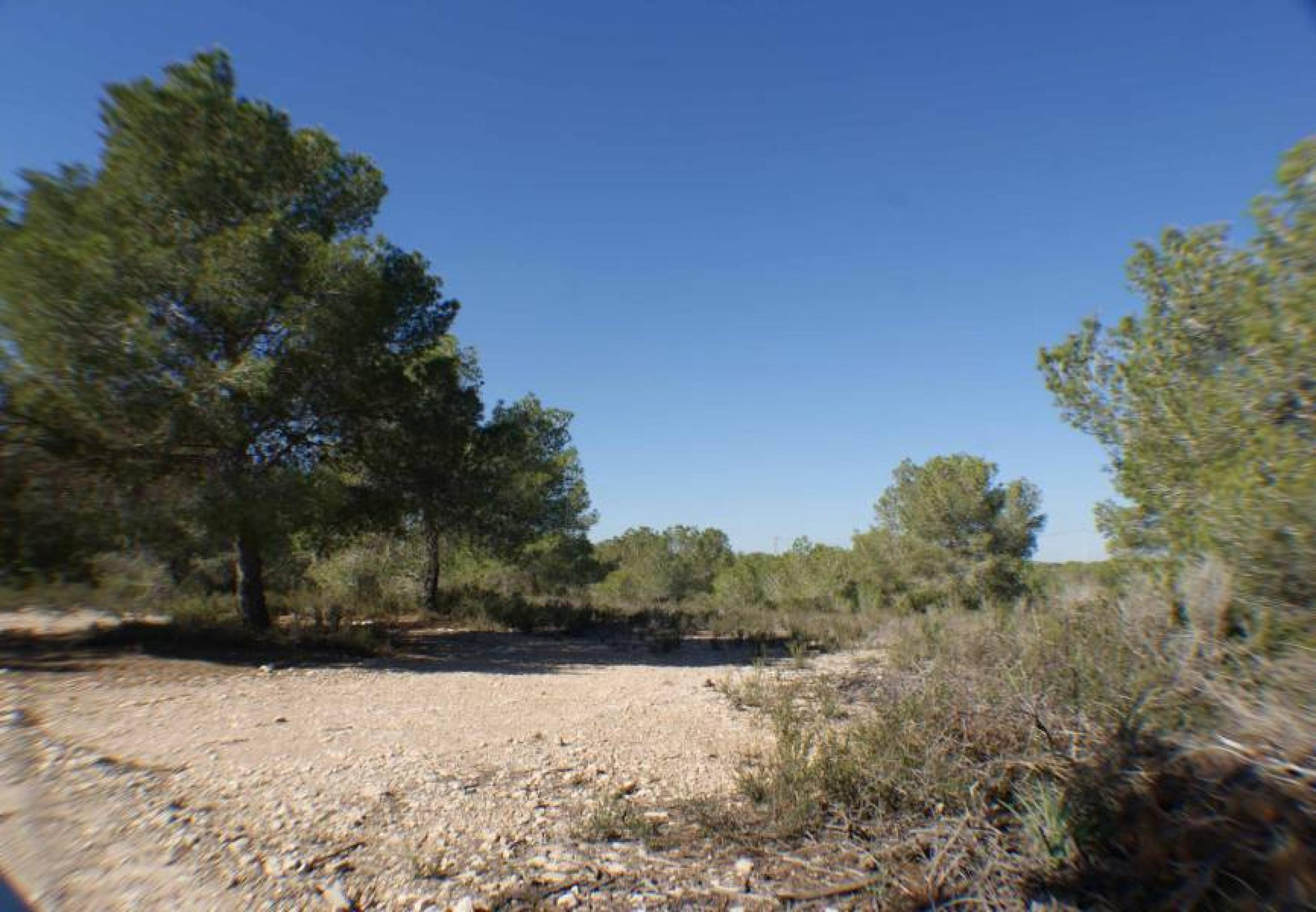 Finca rustique dans Pinar de Perdiz dans la zone rurale de montage et de pinodes