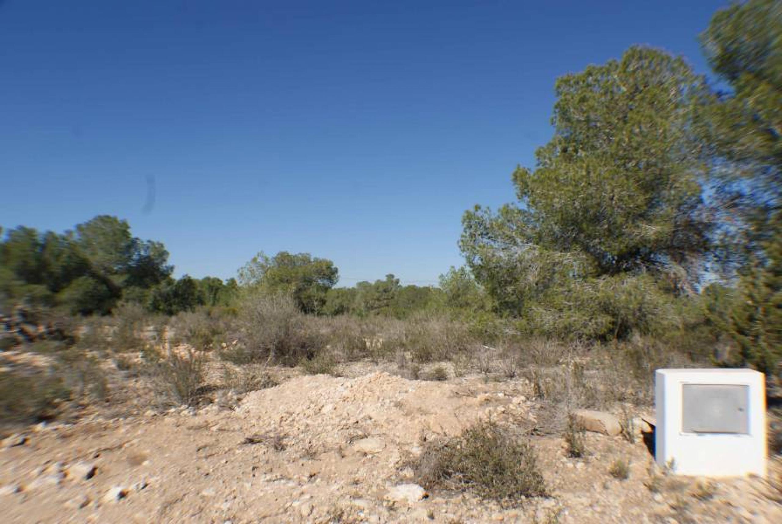 Finca rustique dans Pinar de Perdiz dans la zone rurale de montage et de pinodes