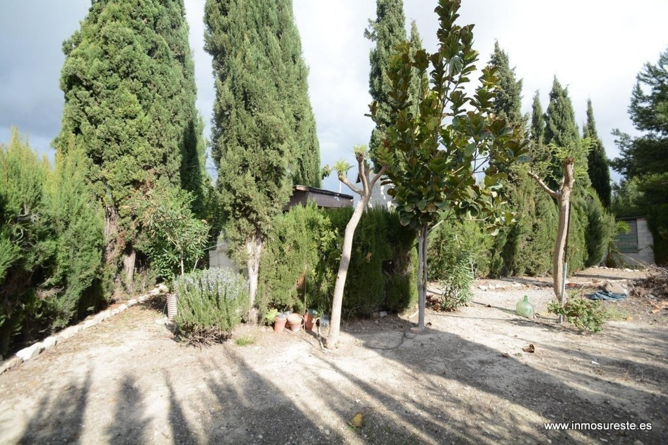 Vente de maison avec terre dans la région de Cox d'El Campo. Jardin de 600 m2. Avec une grande piscine.