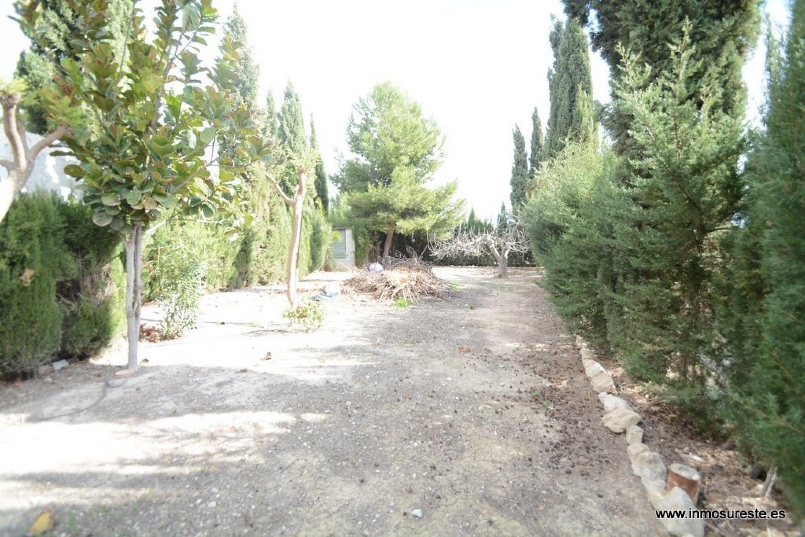 Vente de maison avec terre dans la région de Cox d'El Campo. Jardin de 600 m2. Avec une grande piscine.