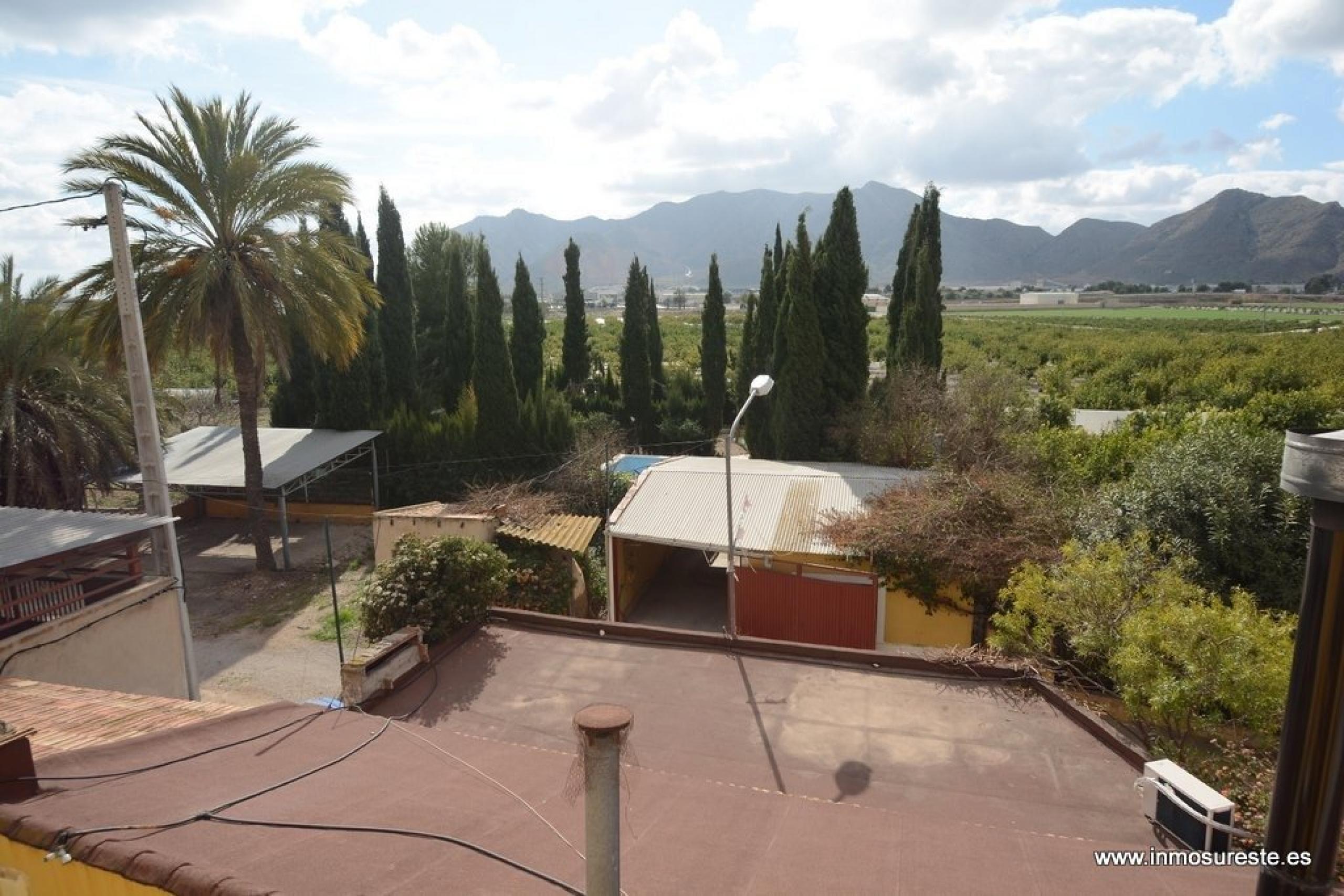 Vente de maison avec terre dans la région de Cox d'El Campo. Jardin de 600 m2. Avec une grande piscine.