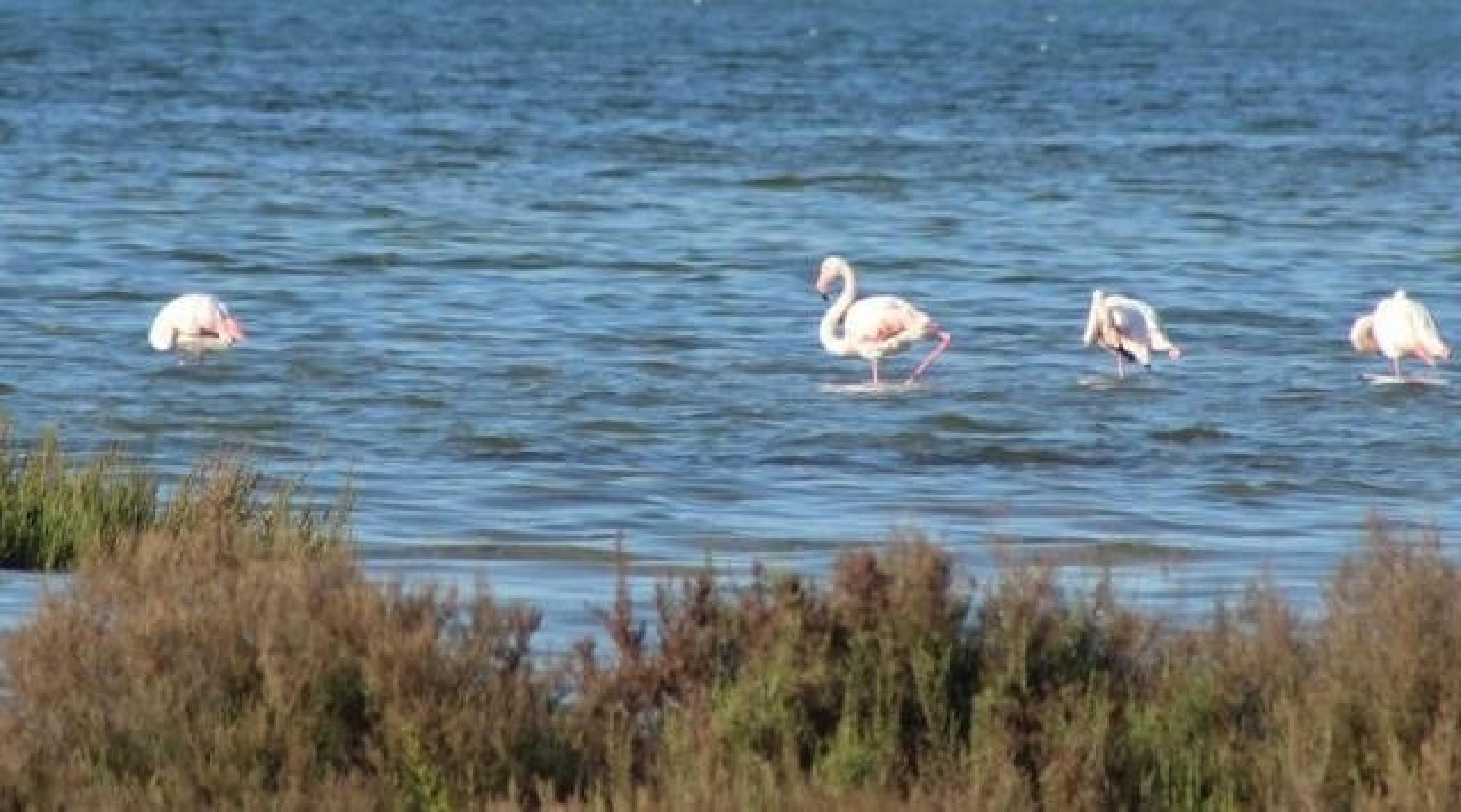 Aimez-vous la nature? Nous vous proposons un quad spacieux et réformé