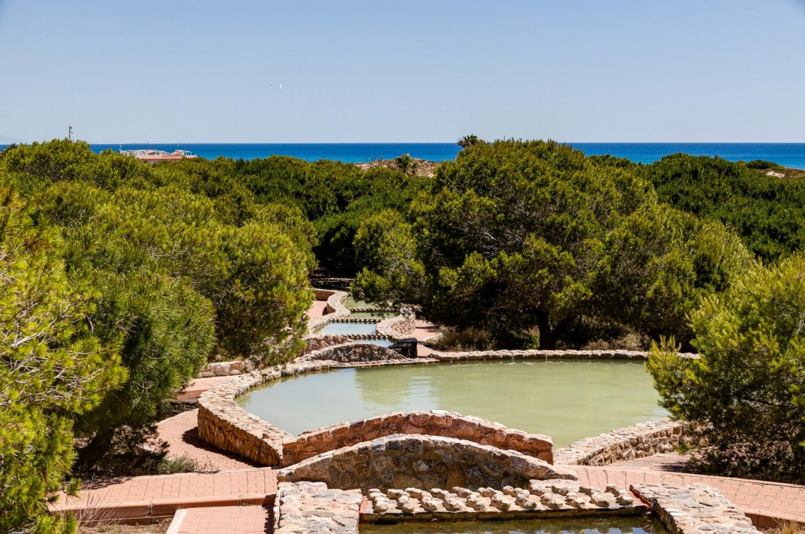 Appartement de luxe 1 chambre + garage. Résidentiel sur la première ligne de la plage de La Mata