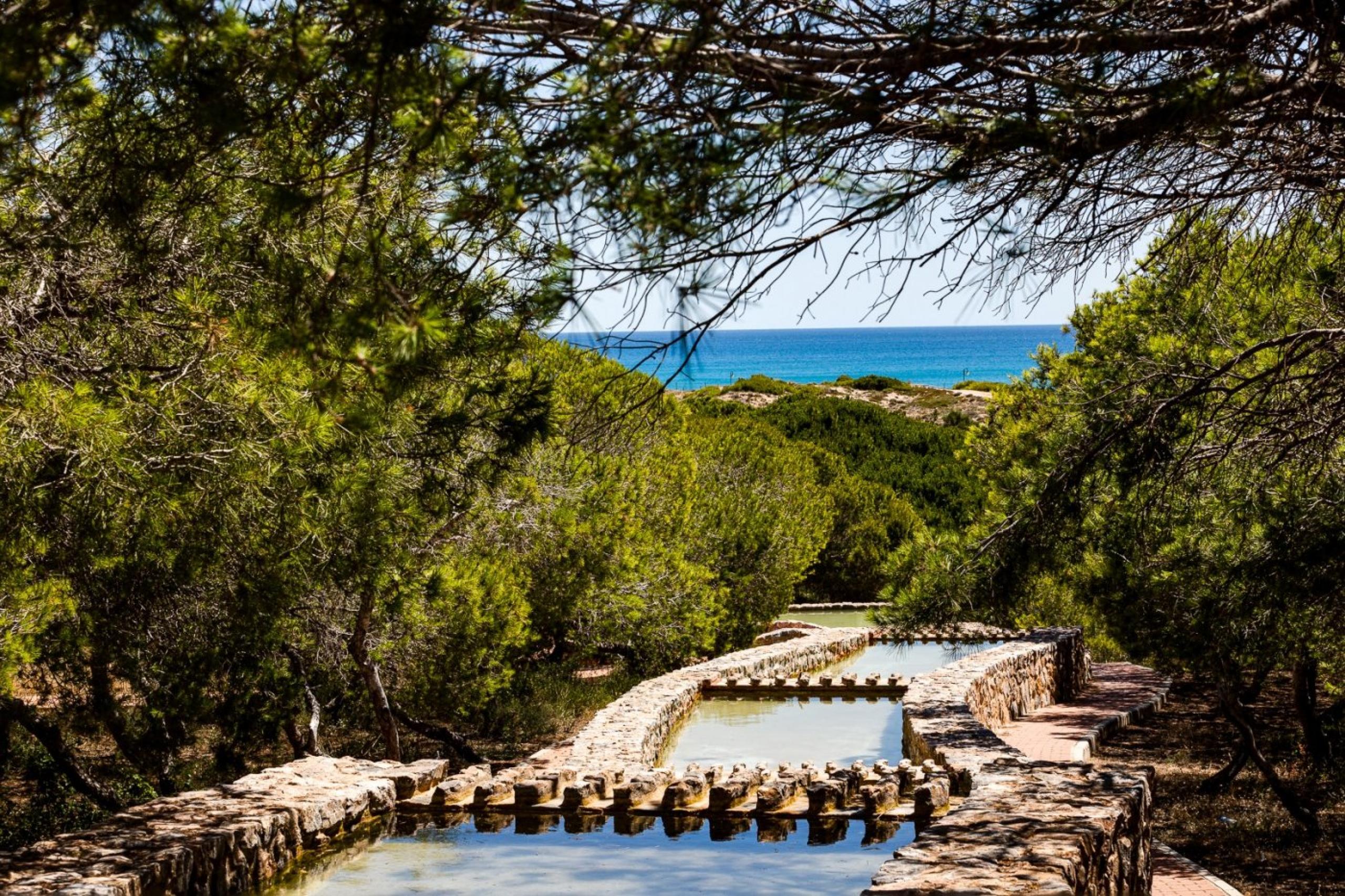 100m de la plage de La Mata