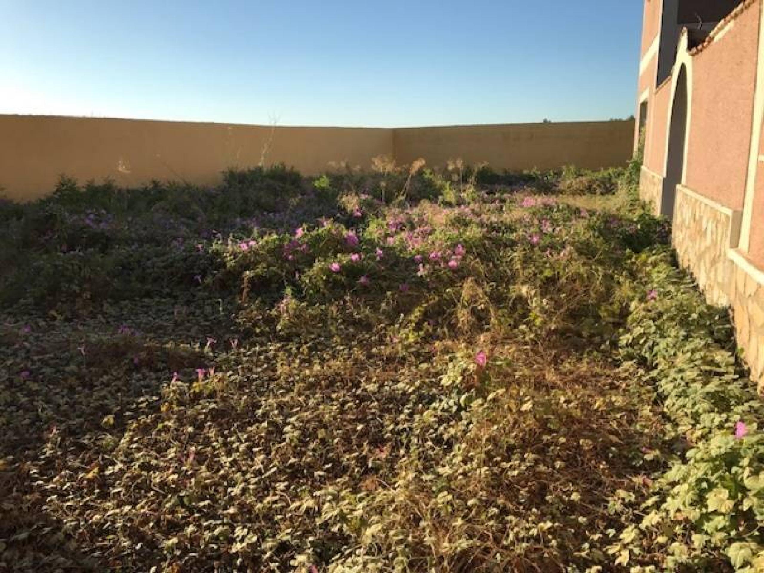 2 Maisons de campagne United sur la parcelle 1500 m2 avec piscine à 6 km de GuargieMar ensemble via Rapid CV-91