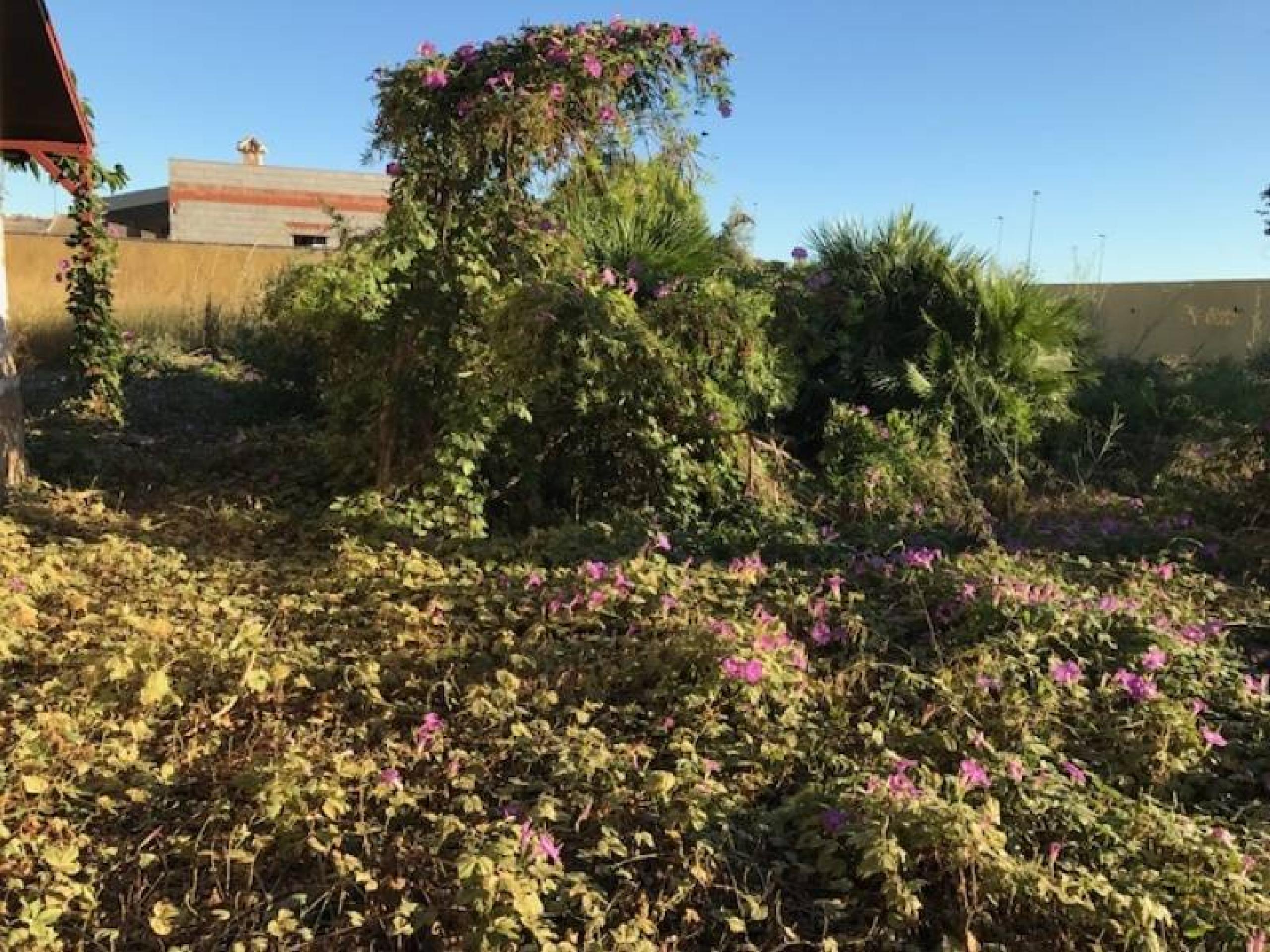 2 Maisons de campagne United sur la parcelle 1500 m2 avec piscine à 6 km de GuargieMar ensemble via Rapid CV-91