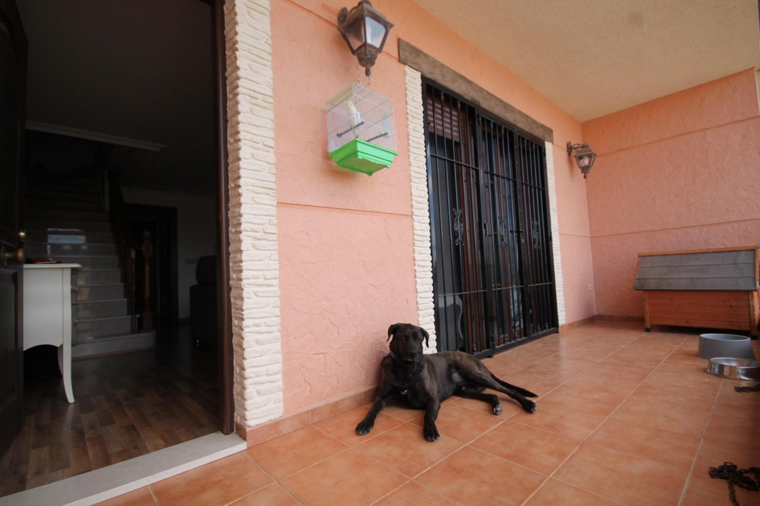 Bungalow à Benjuzar.