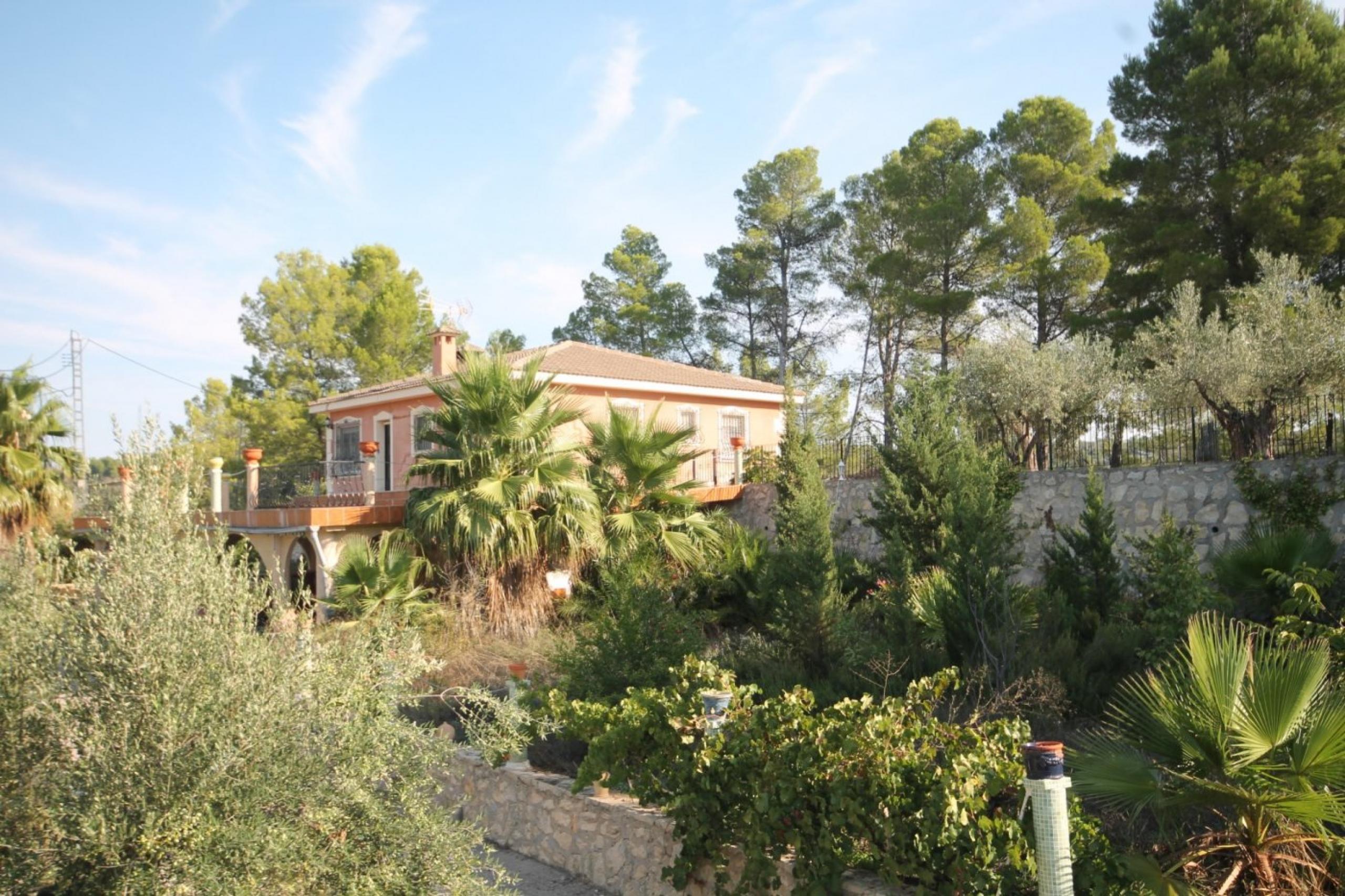 Finca avec maison et vue sur la montagne