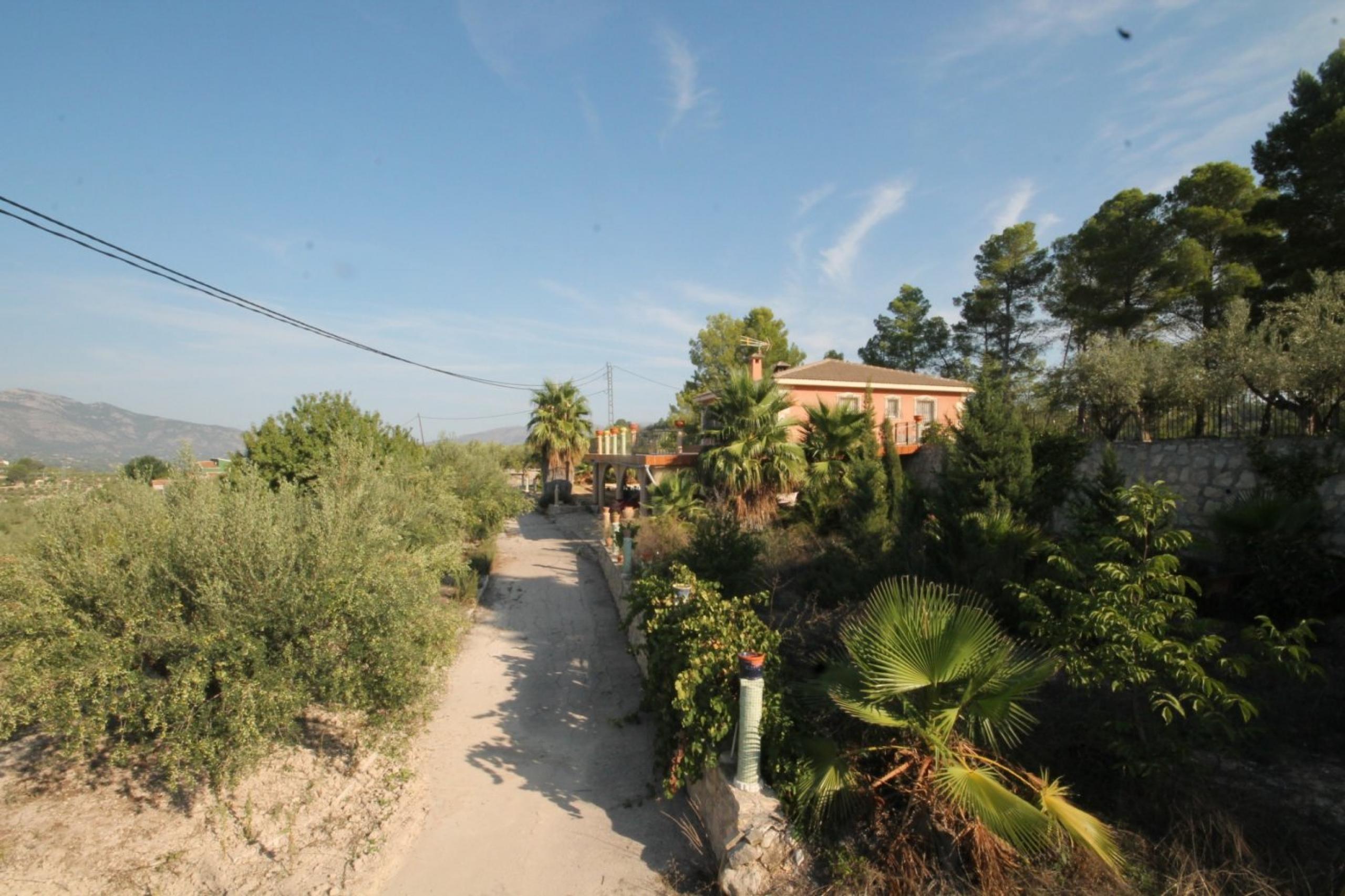 Finca avec maison et vue sur la montagne