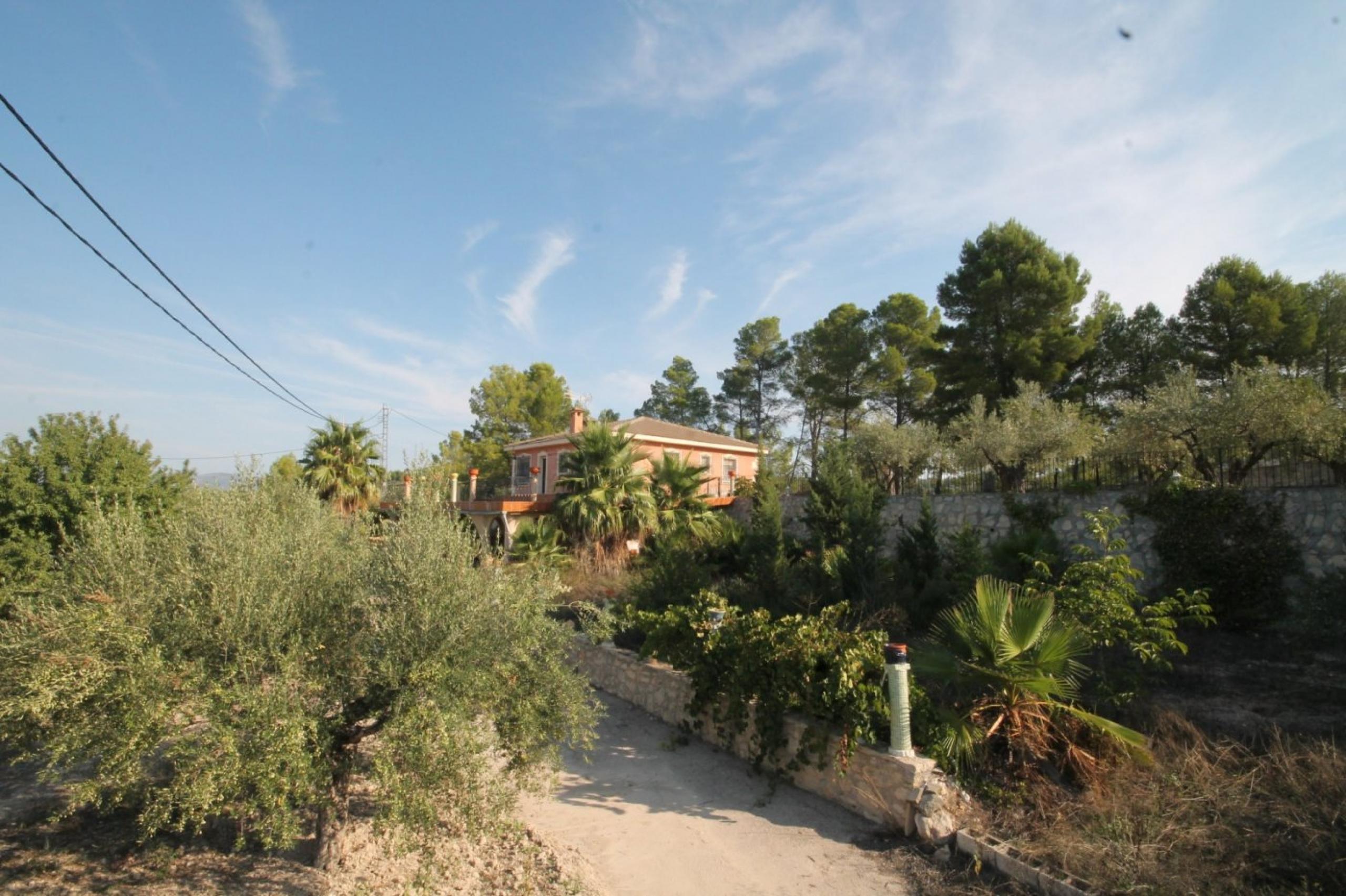 Finca avec maison et vue sur la montagne