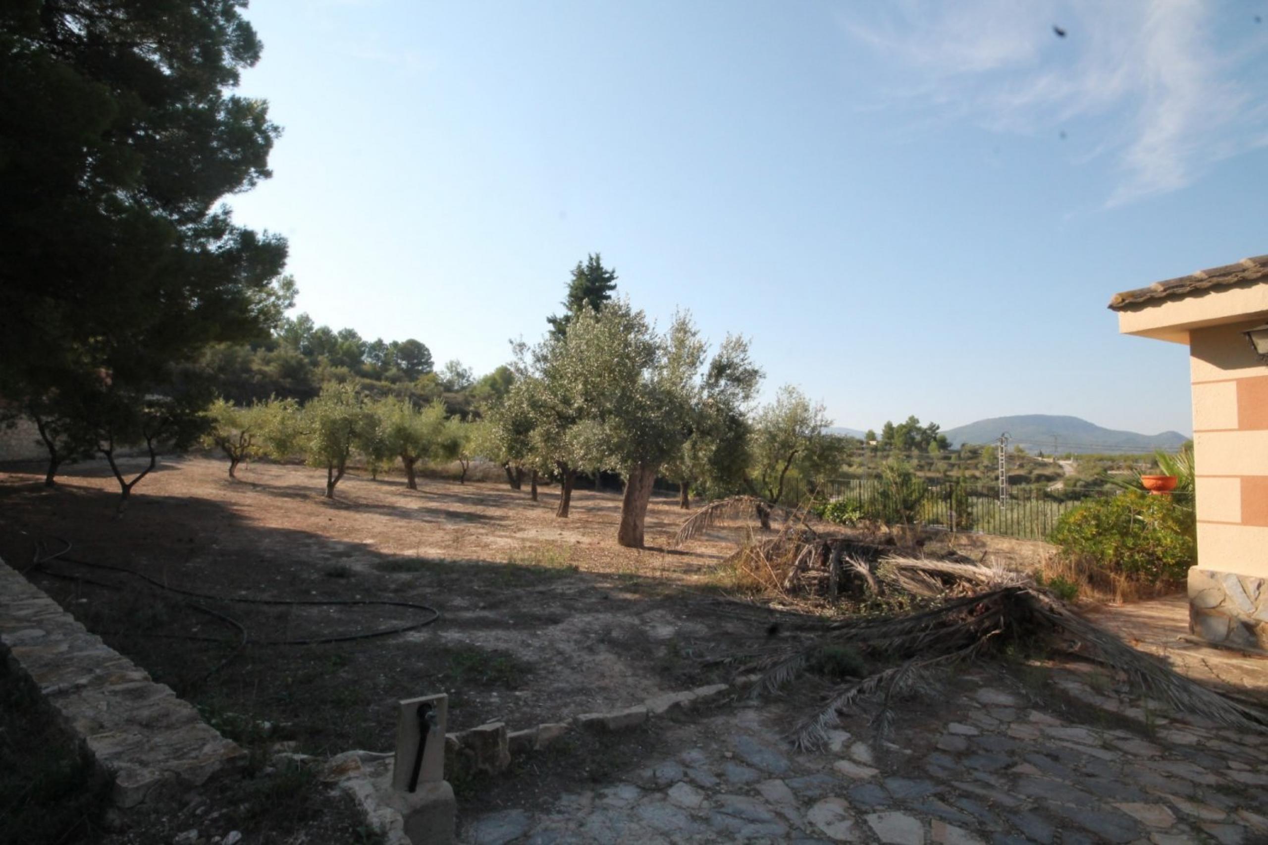 Finca avec maison et vue sur la montagne