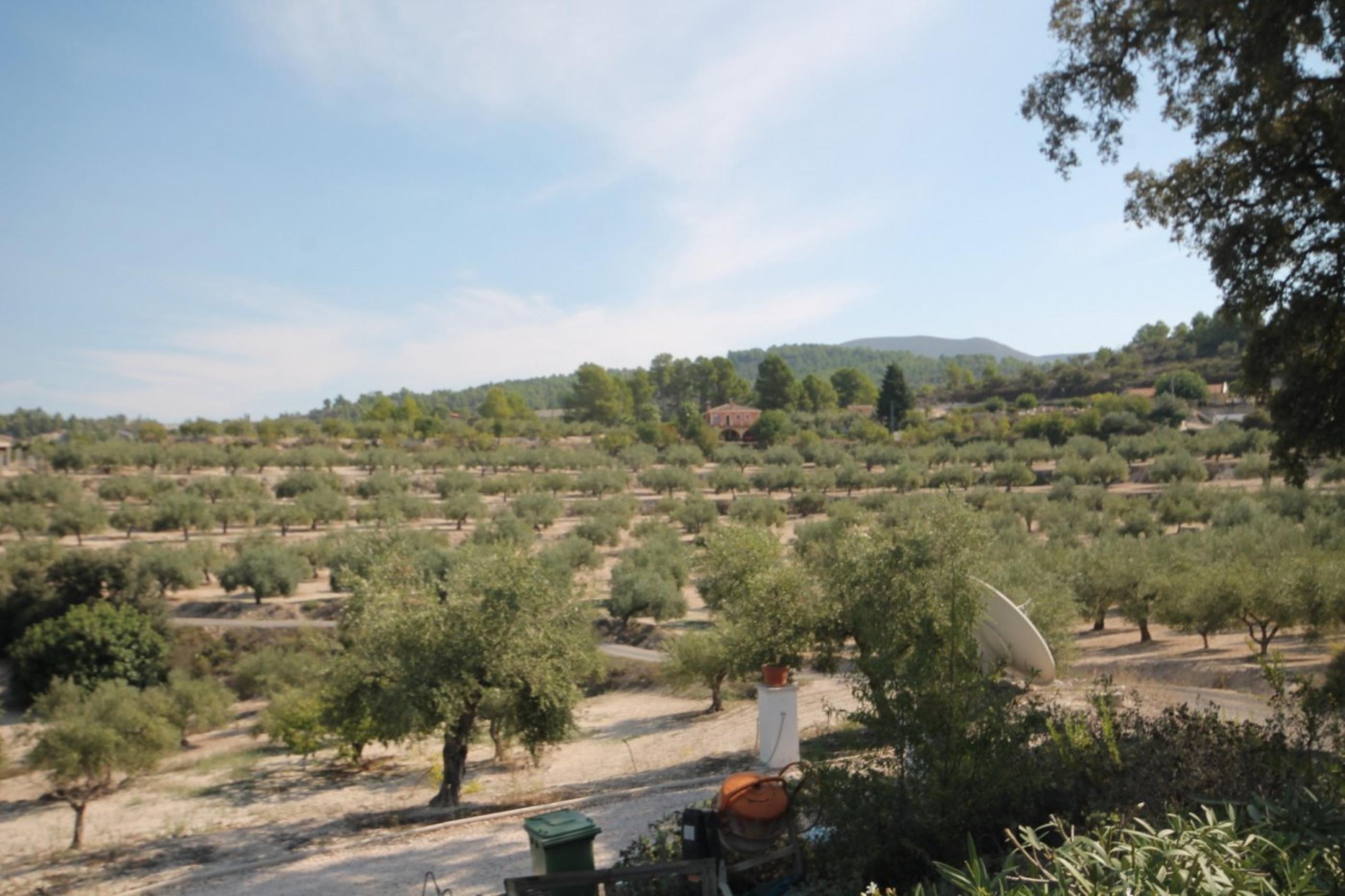 Finca avec maison et vue sur la montagne