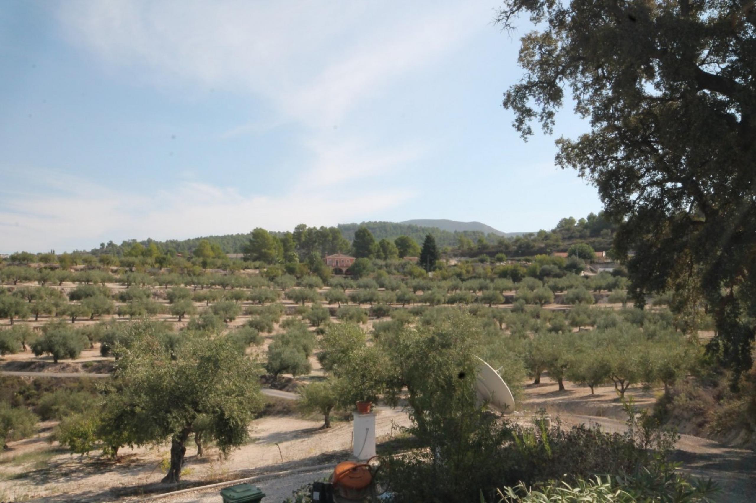 Finca avec maison et vue sur la montagne