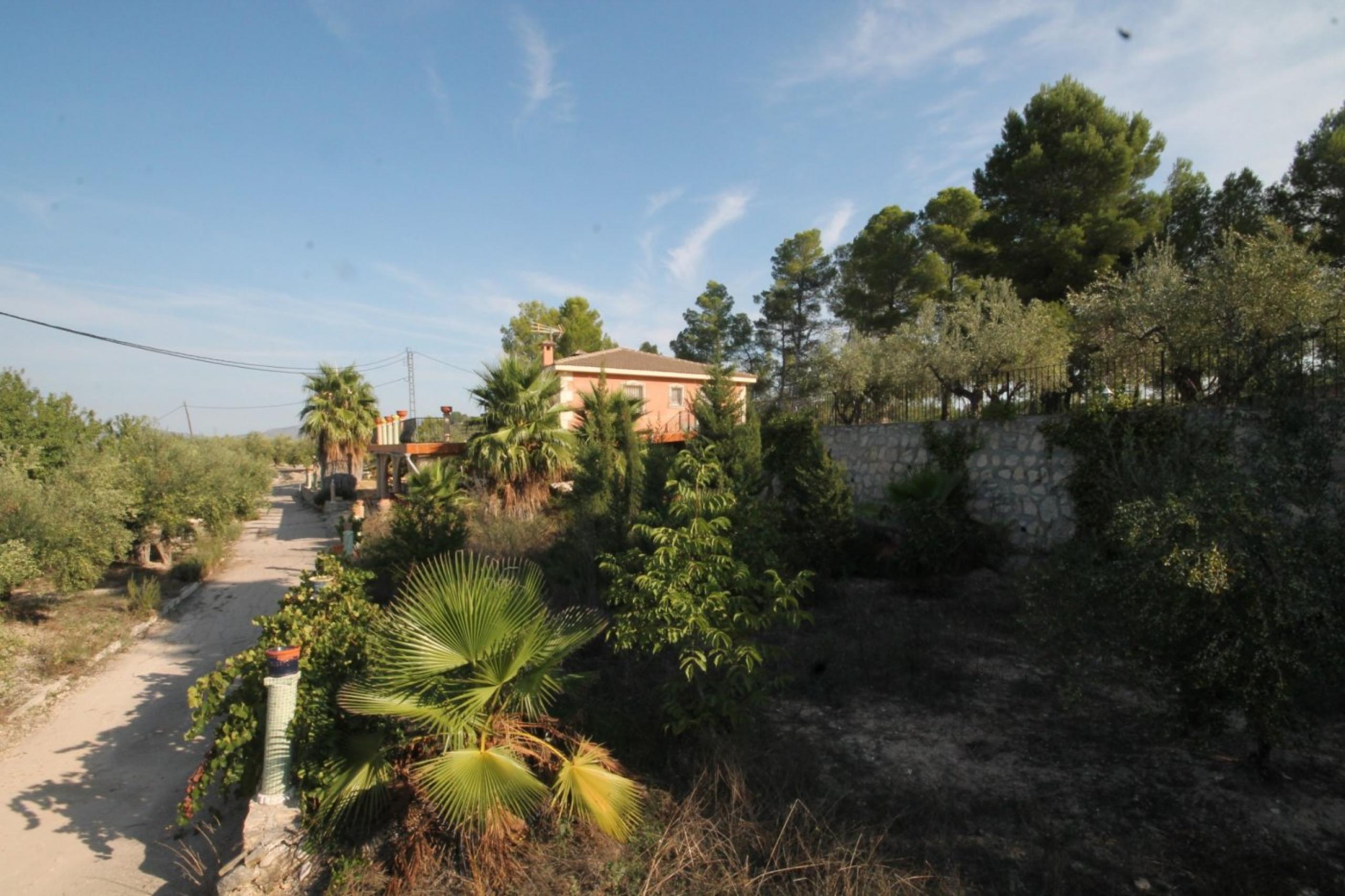 Finca avec maison et vue sur la montagne