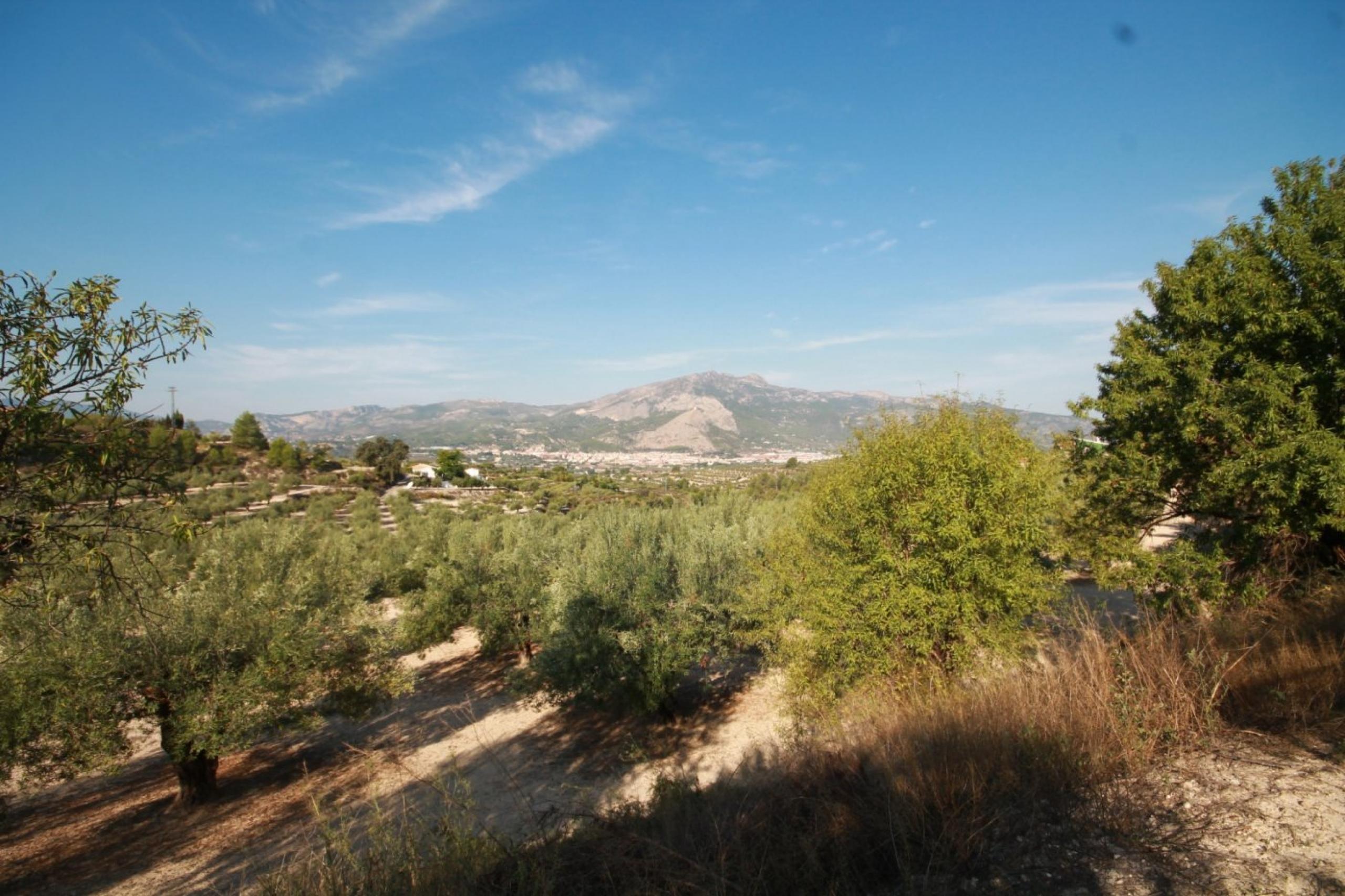 Finca avec maison et vue sur la montagne