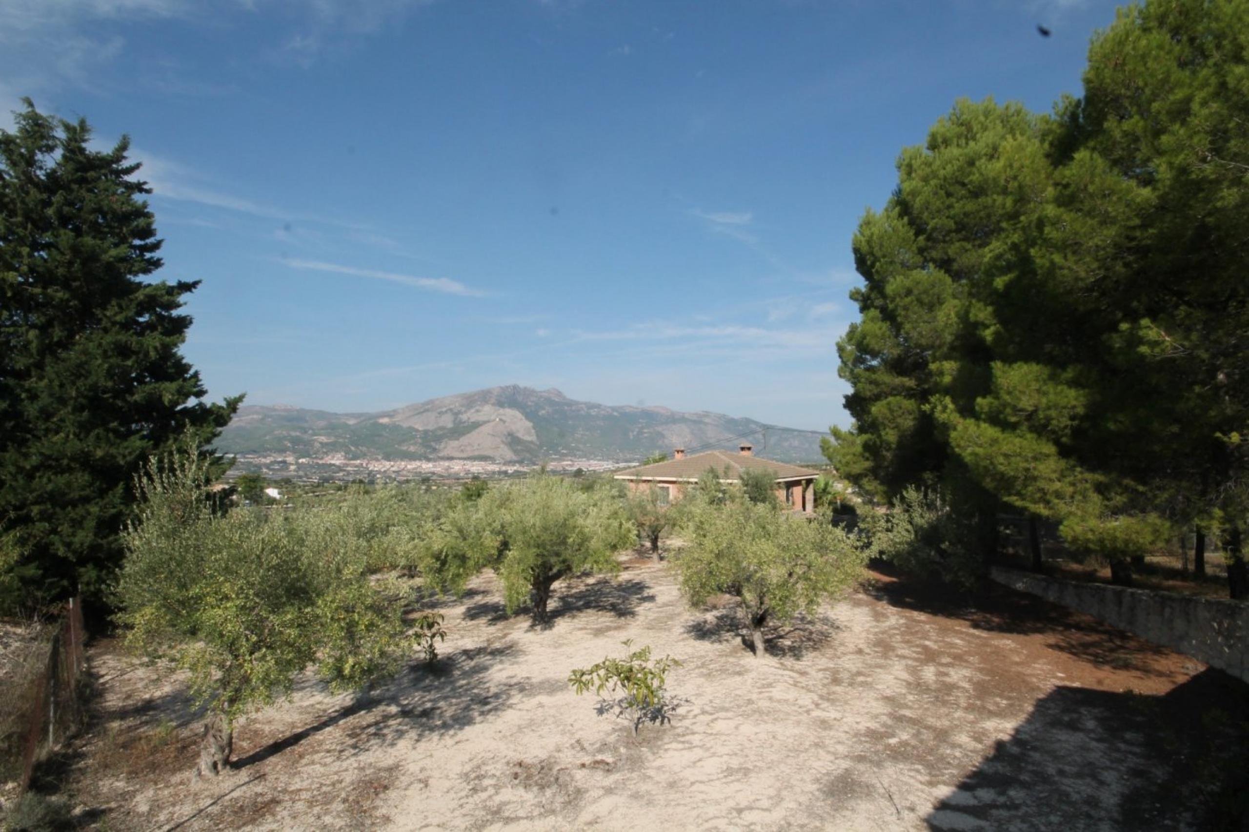 Finca avec maison et vue sur la montagne