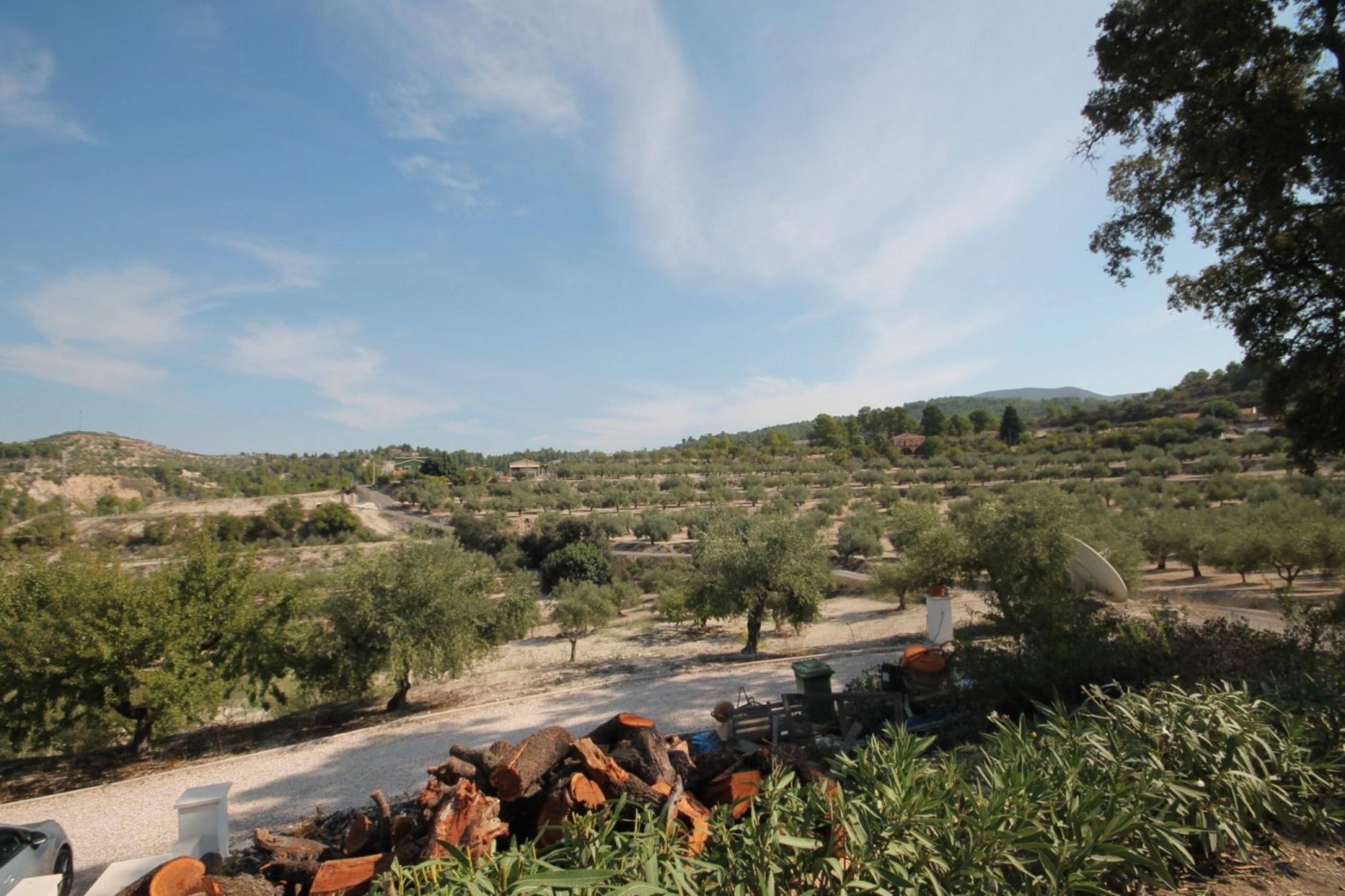 Finca avec maison et vue sur la montagne