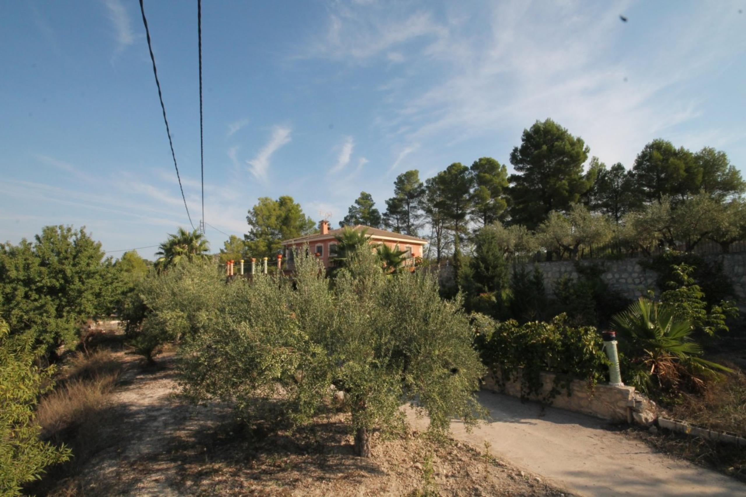 Finca avec maison et vue sur la montagne