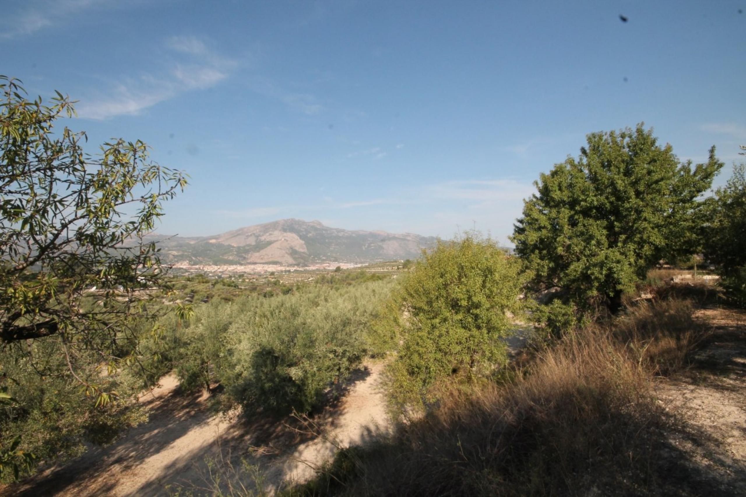 Finca avec maison et vue sur la montagne