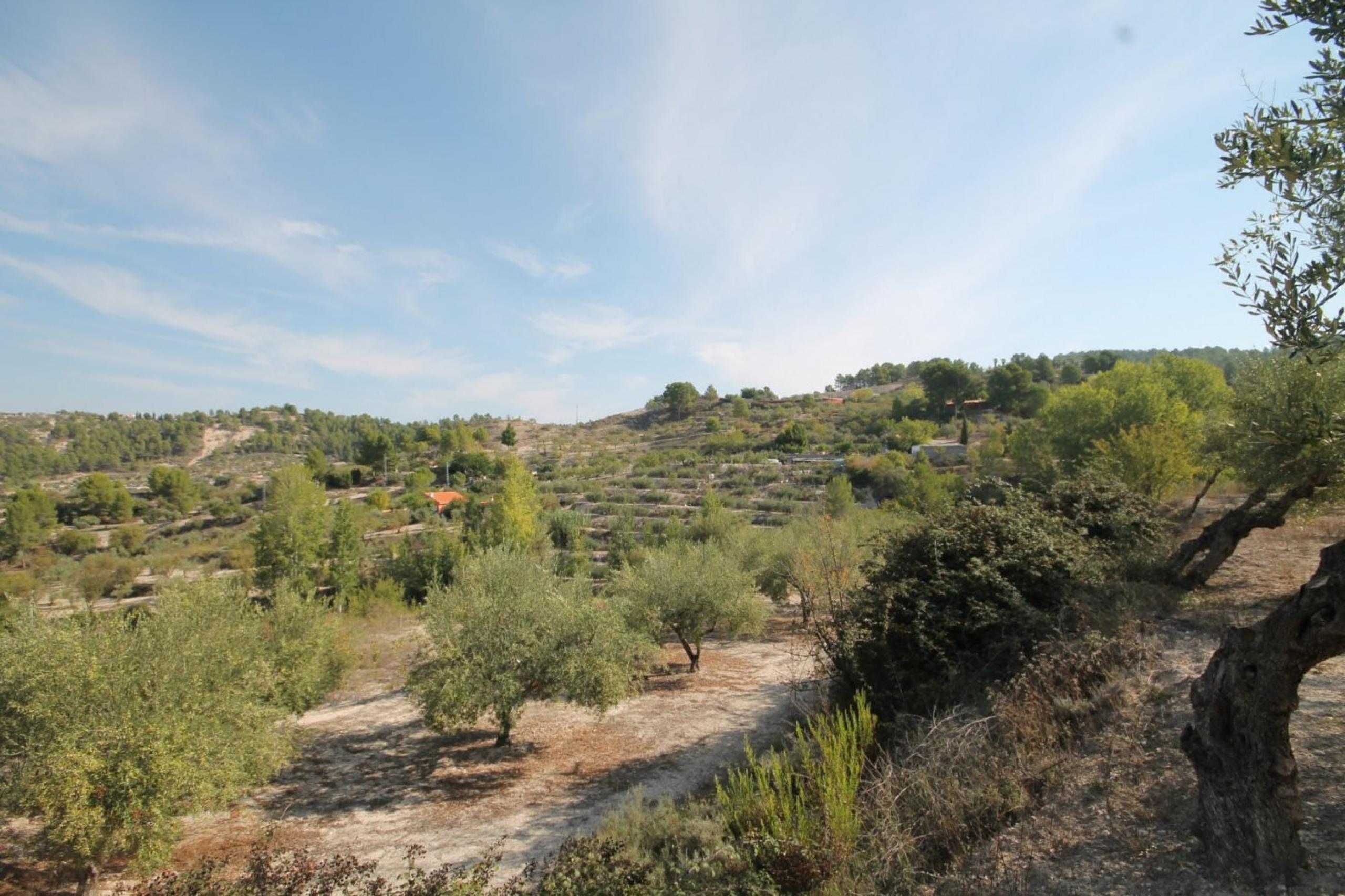 Finca avec maison et vue sur la montagne