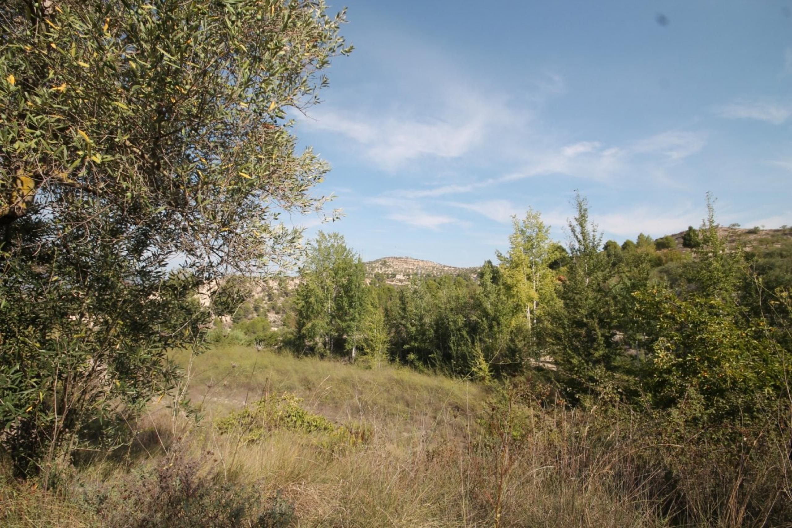 Finca avec maison et vue sur la montagne