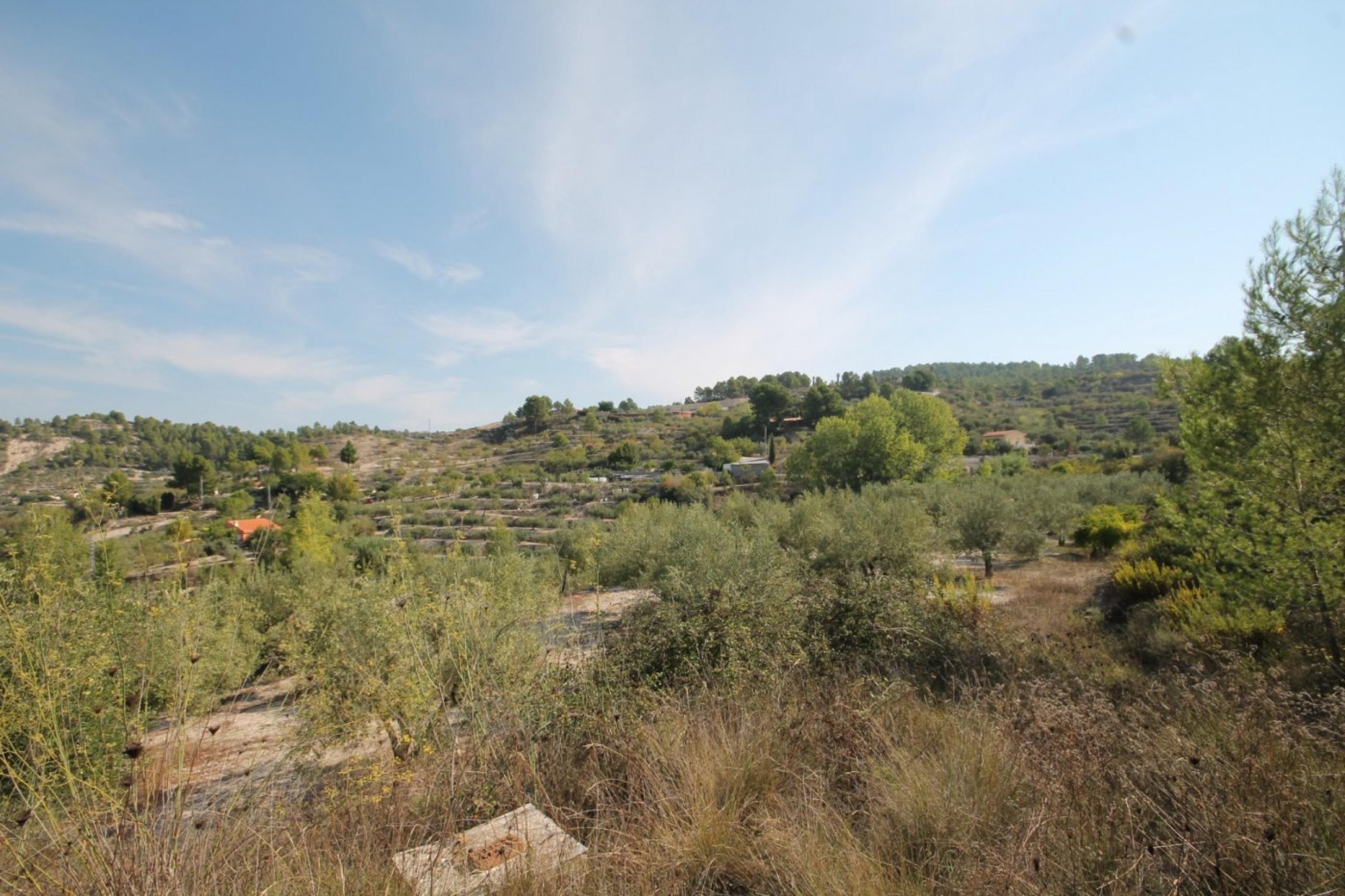 Finca avec maison et vue sur la montagne