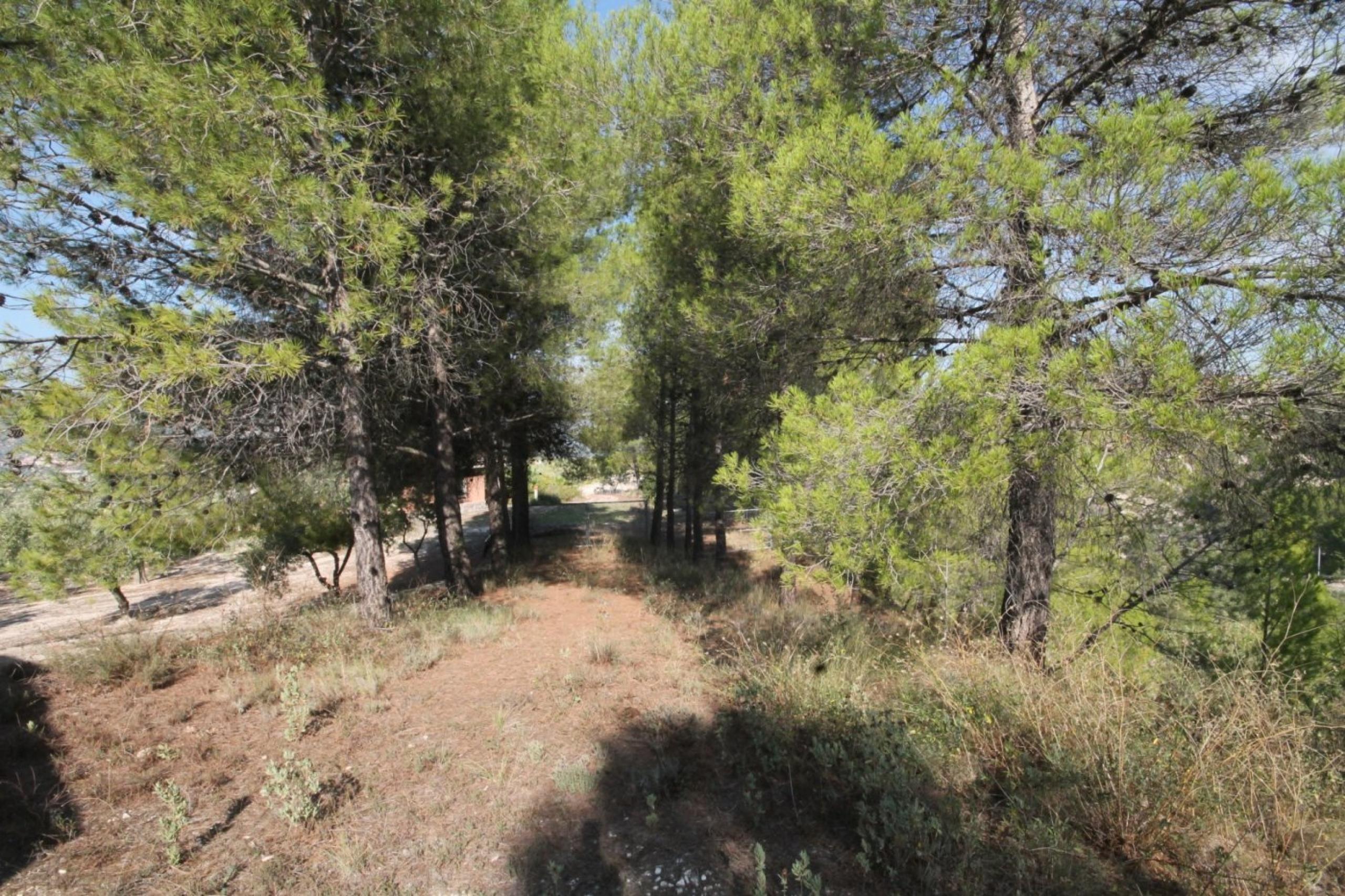 Finca avec maison et vue sur la montagne