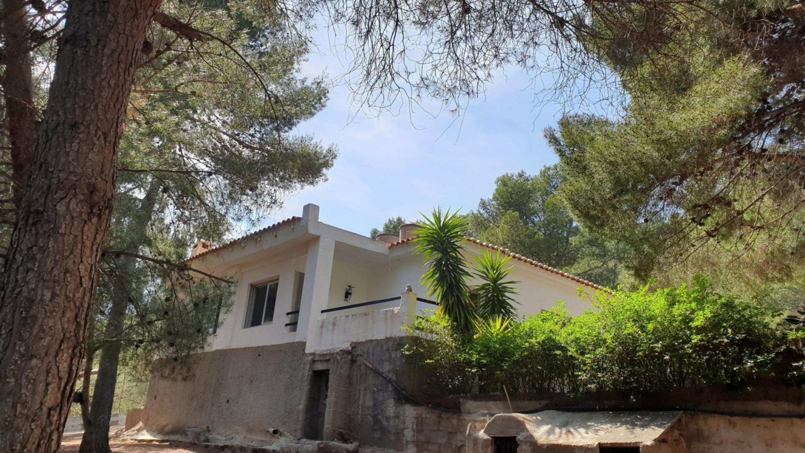 Terrain avec cottage à Nazelra (Valence)