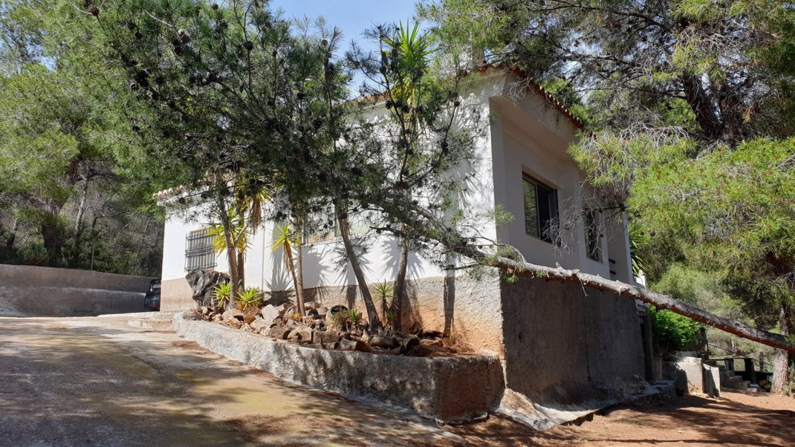 Terrain avec cottage à Nazelra (Valence)