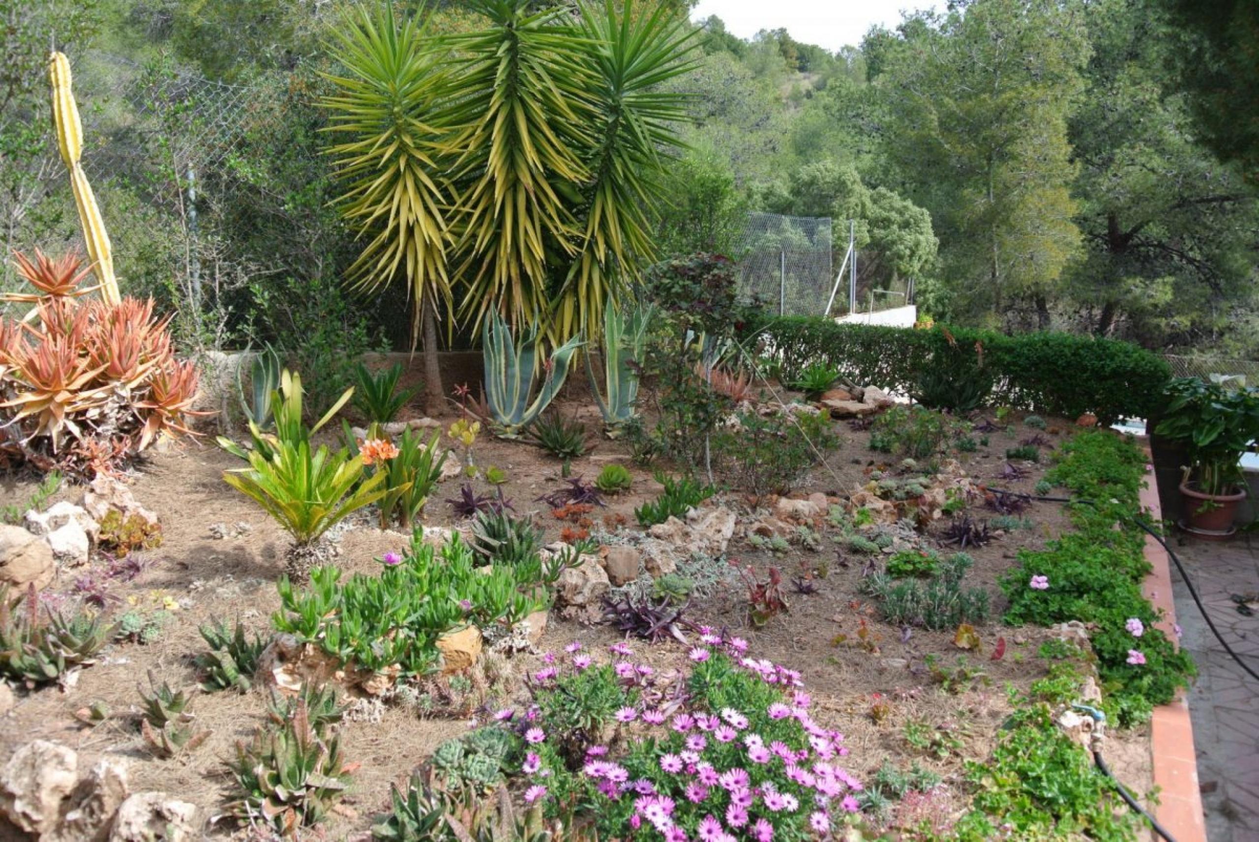 Terrain avec cottage à Nazelra (Valence)