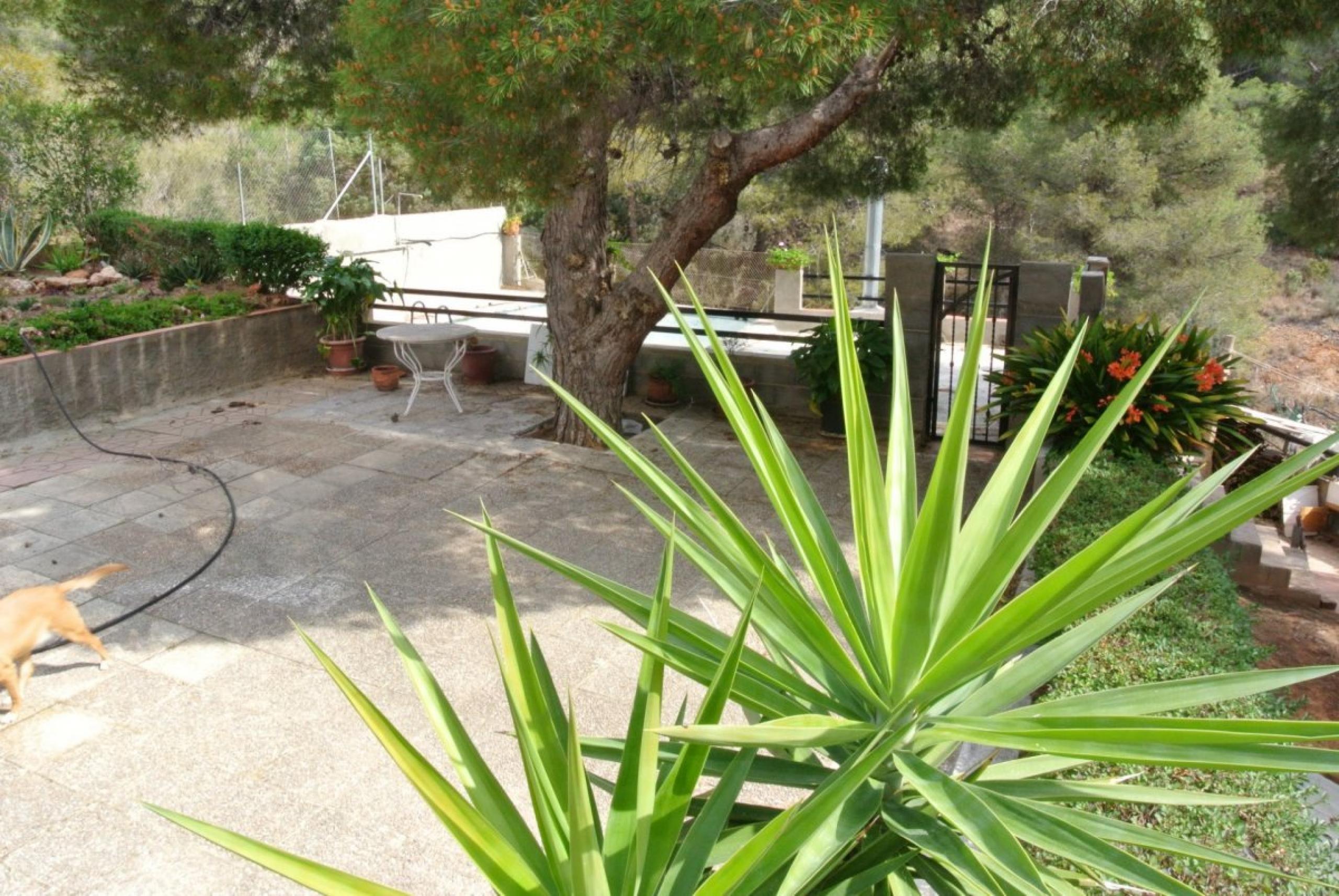 Terrain avec cottage à Nazelra (Valence)