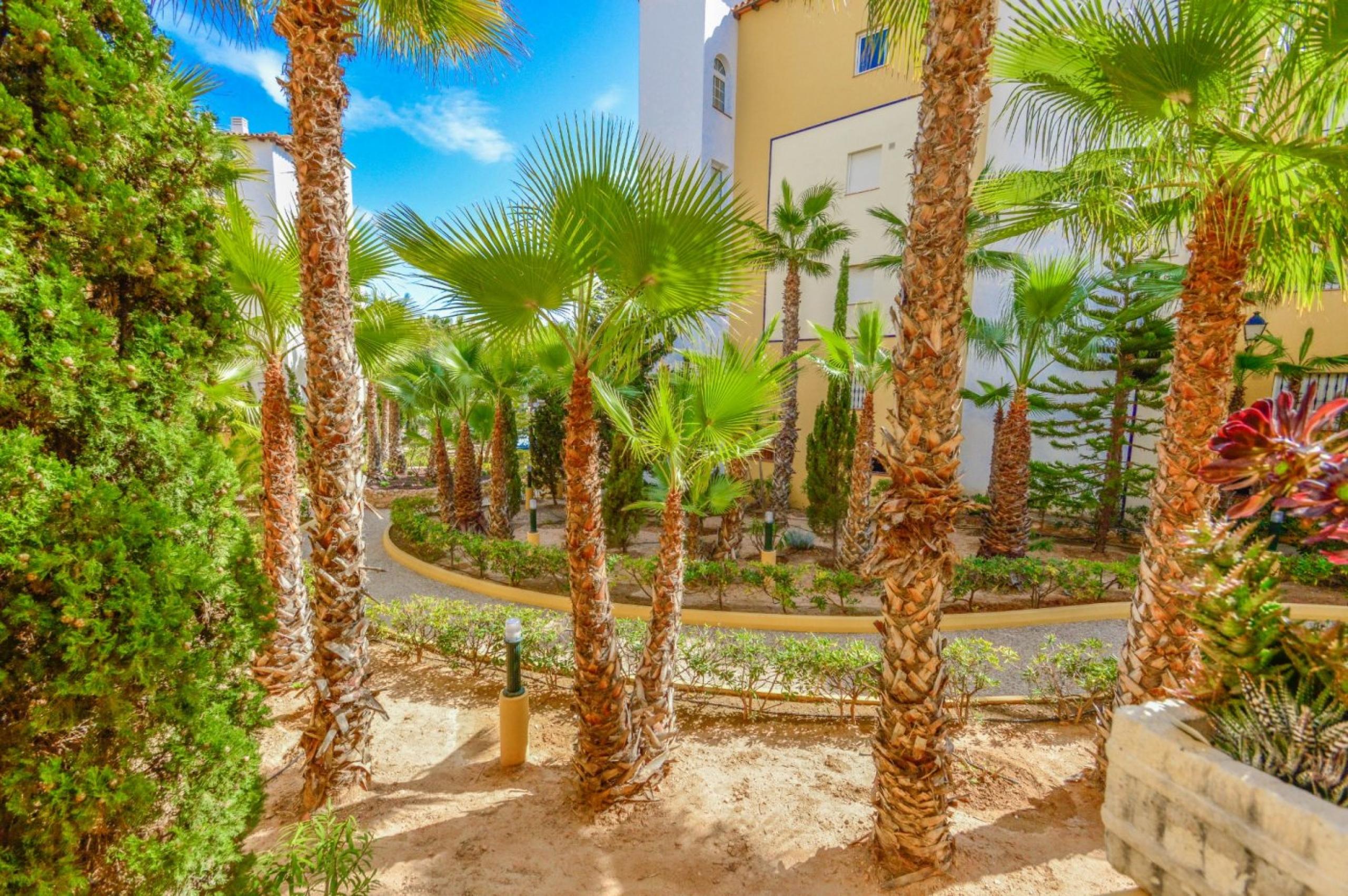 Apartment Village Del Mar Bloc 27 - Rez-de-chaussée - Torrevieja