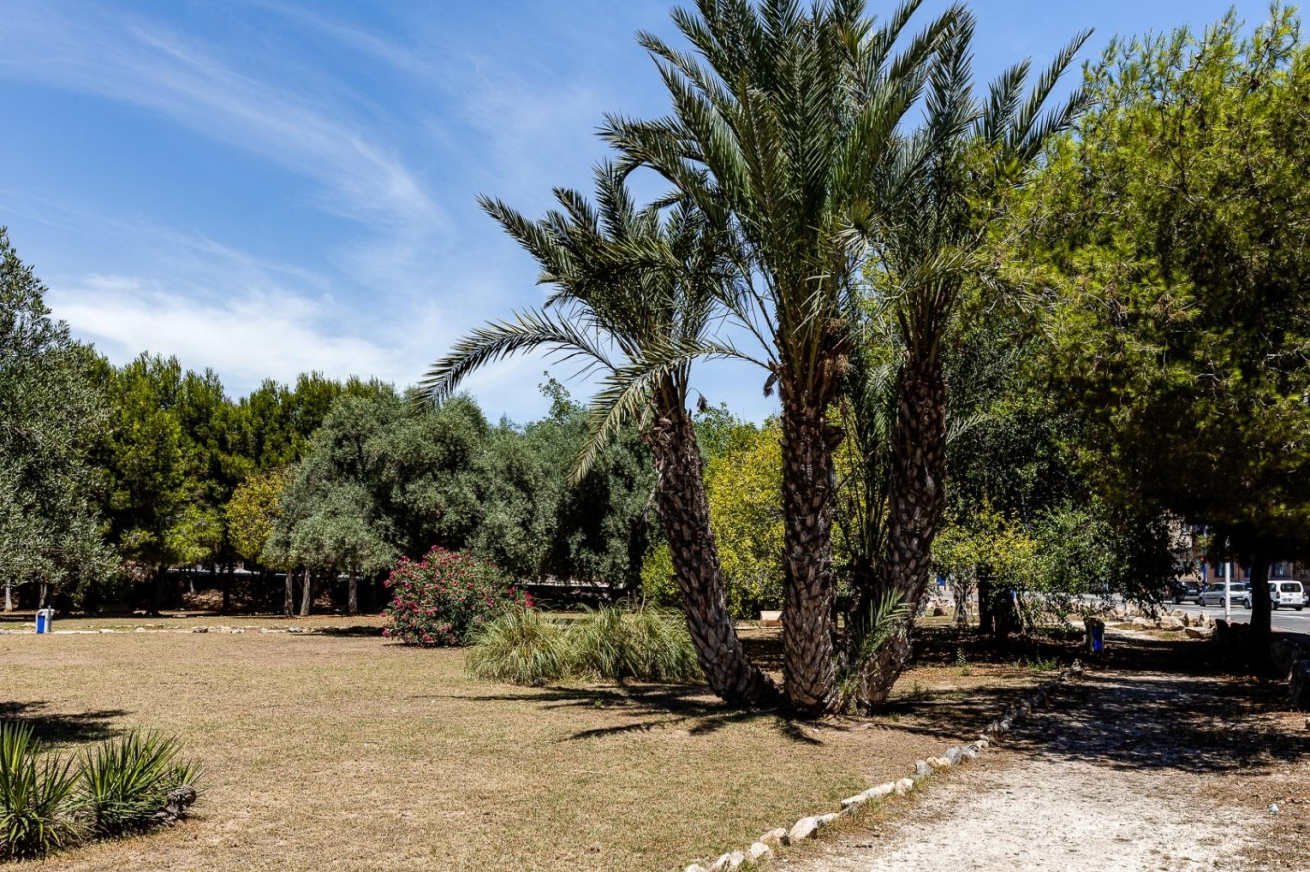 Appartement 2 chambres à coucher à 250 mètres de la plage d'Acequiã »N à Torrevieja