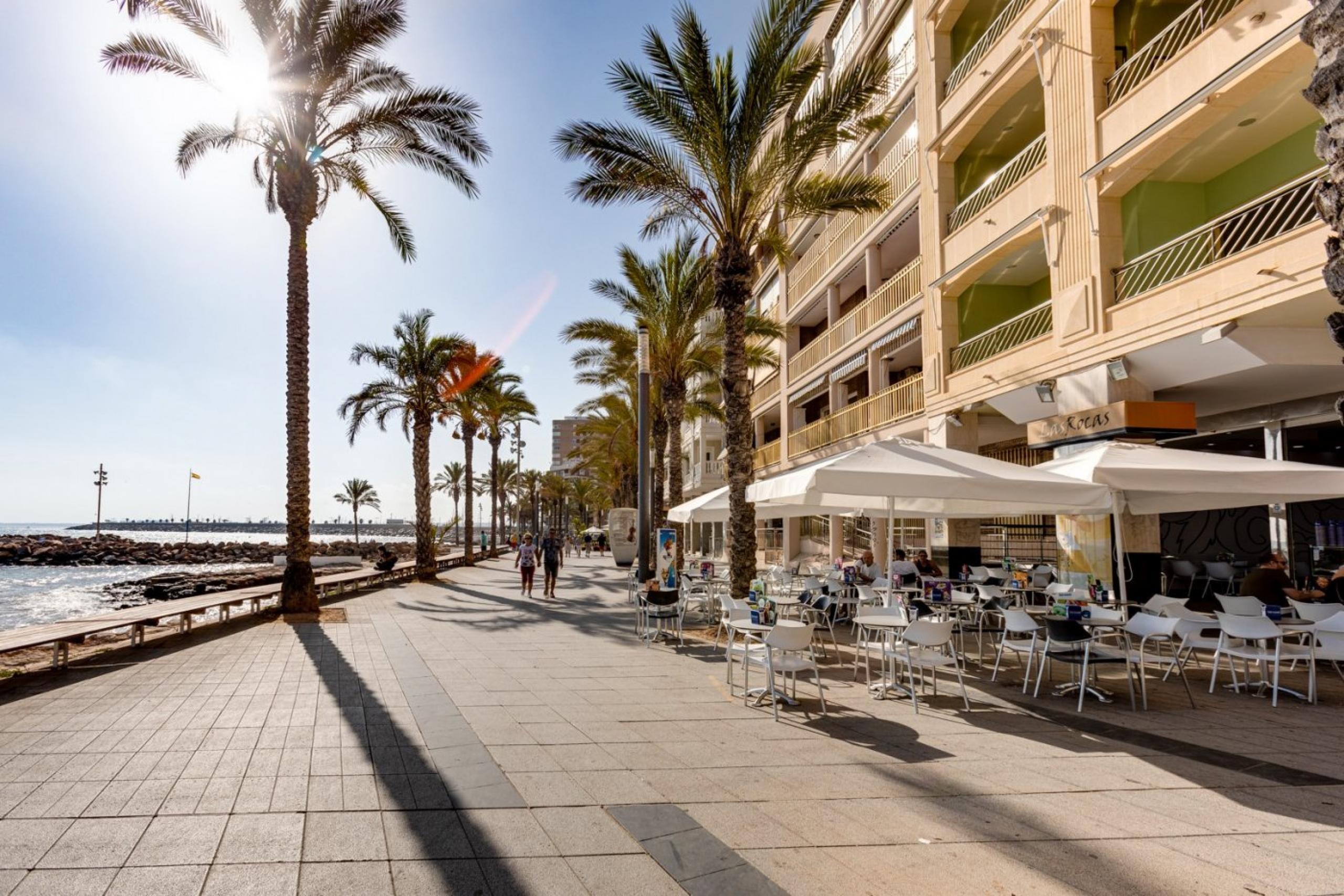 Appartement 1 chambre avec piscine communautaire dans le centre de Torrevieja