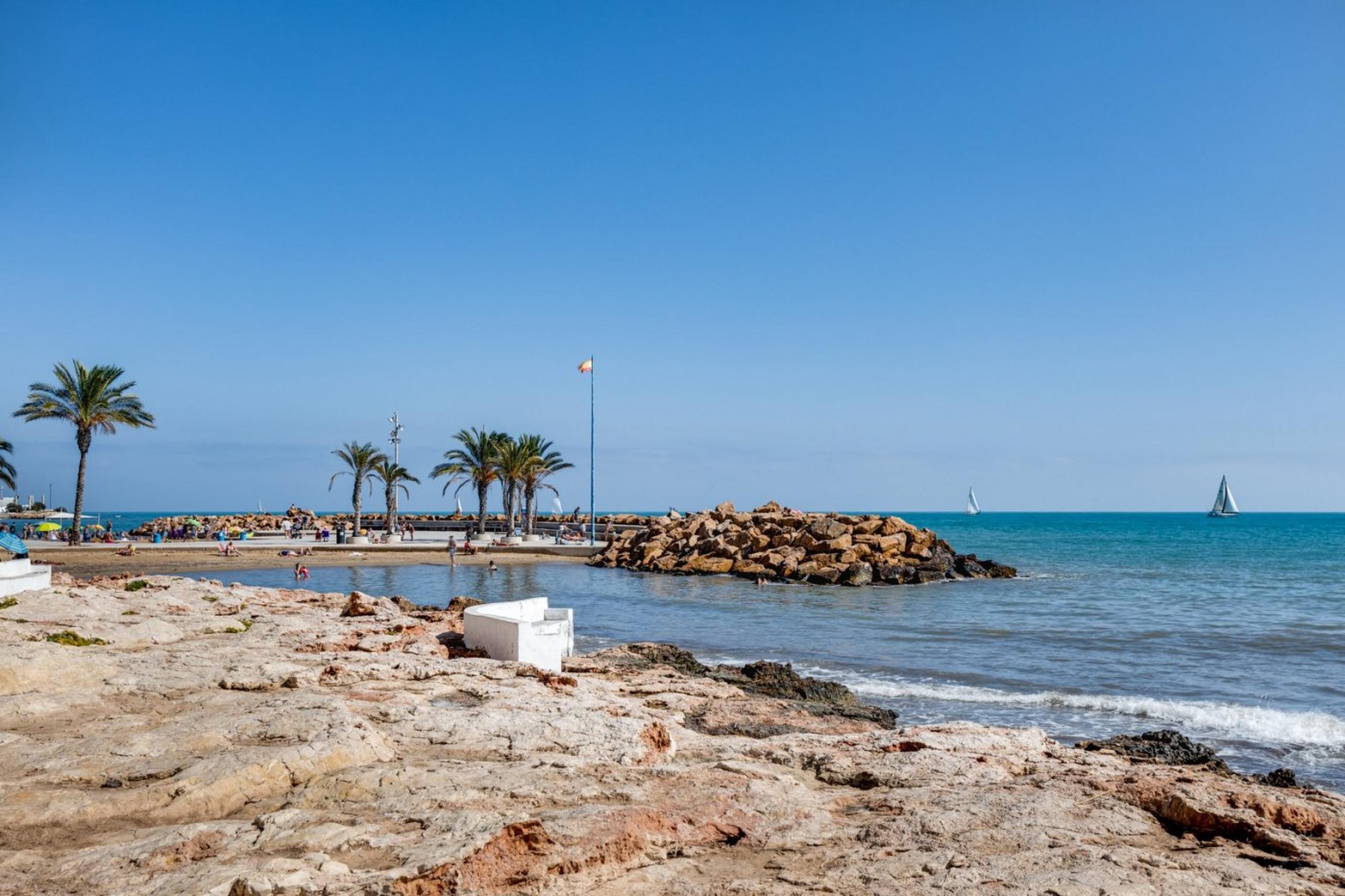 Appartement 1 chambre avec piscine communautaire dans le centre de Torrevieja