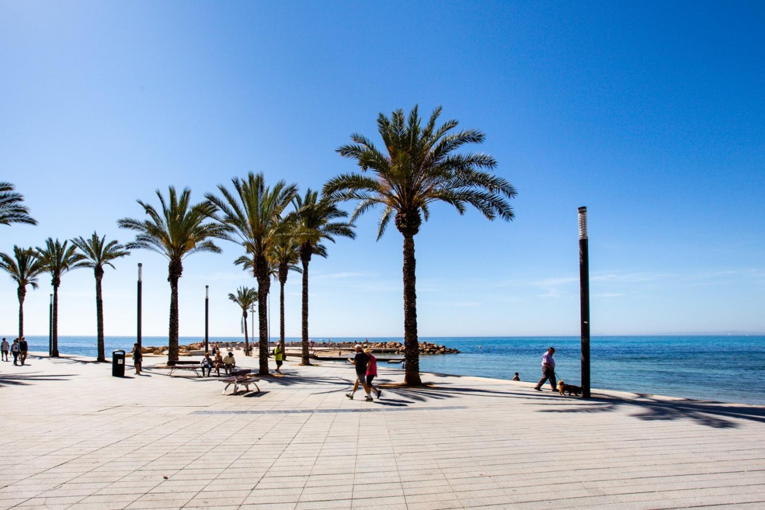 Locaux commerciaux à 450 mètres de la plage de Cura, Torrevieja