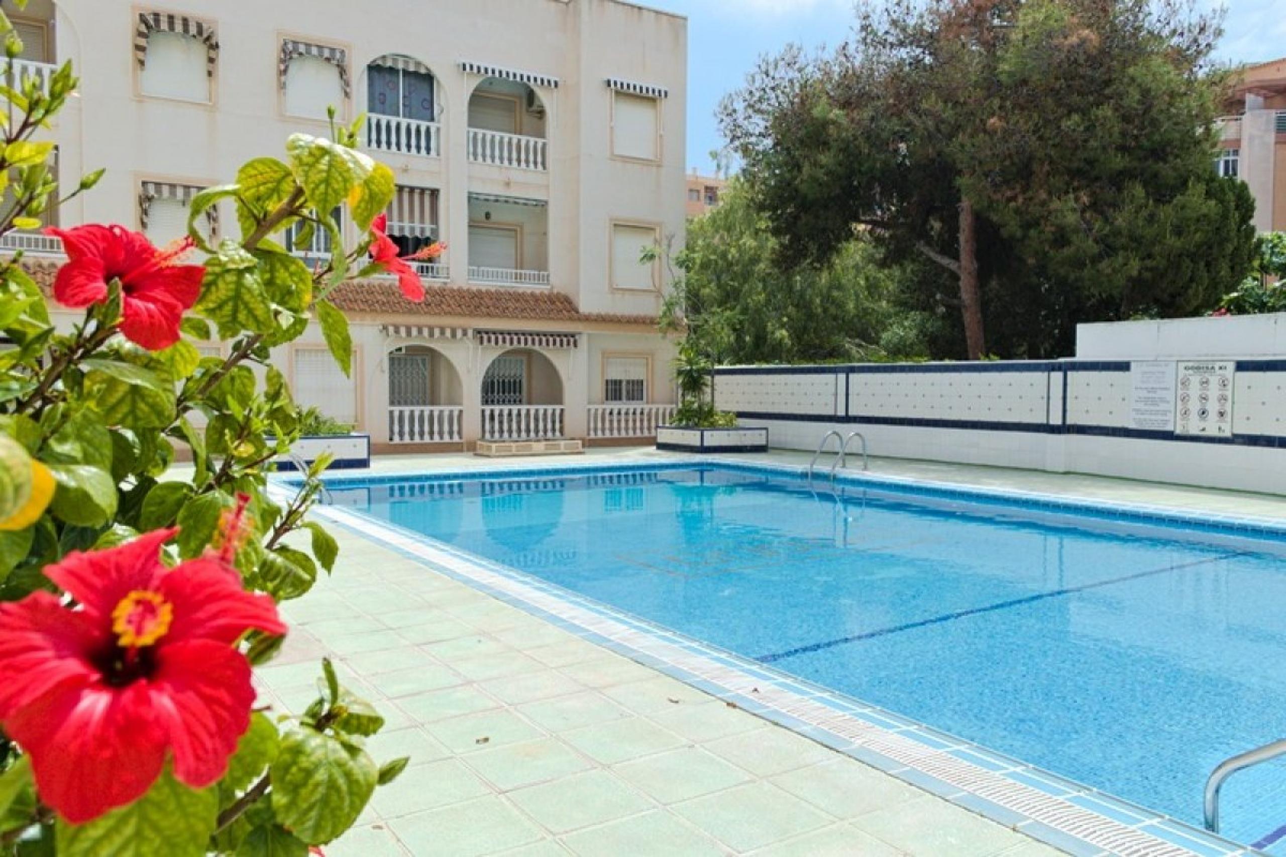 Rez-de-chaussée, 2 chambres et piscine commune à Torrevieja