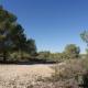 Finca rustique dans Pinar de Perdiz dans la zone rurale de montage et de pinodes