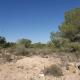 Finca rustique dans Pinar de Perdiz dans la zone rurale de montage et de pinodes