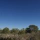 Finca rustique dans Pinar de Perdiz dans la zone rurale de montage et de pinodes