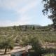 Finca avec maison et vue sur la montagne